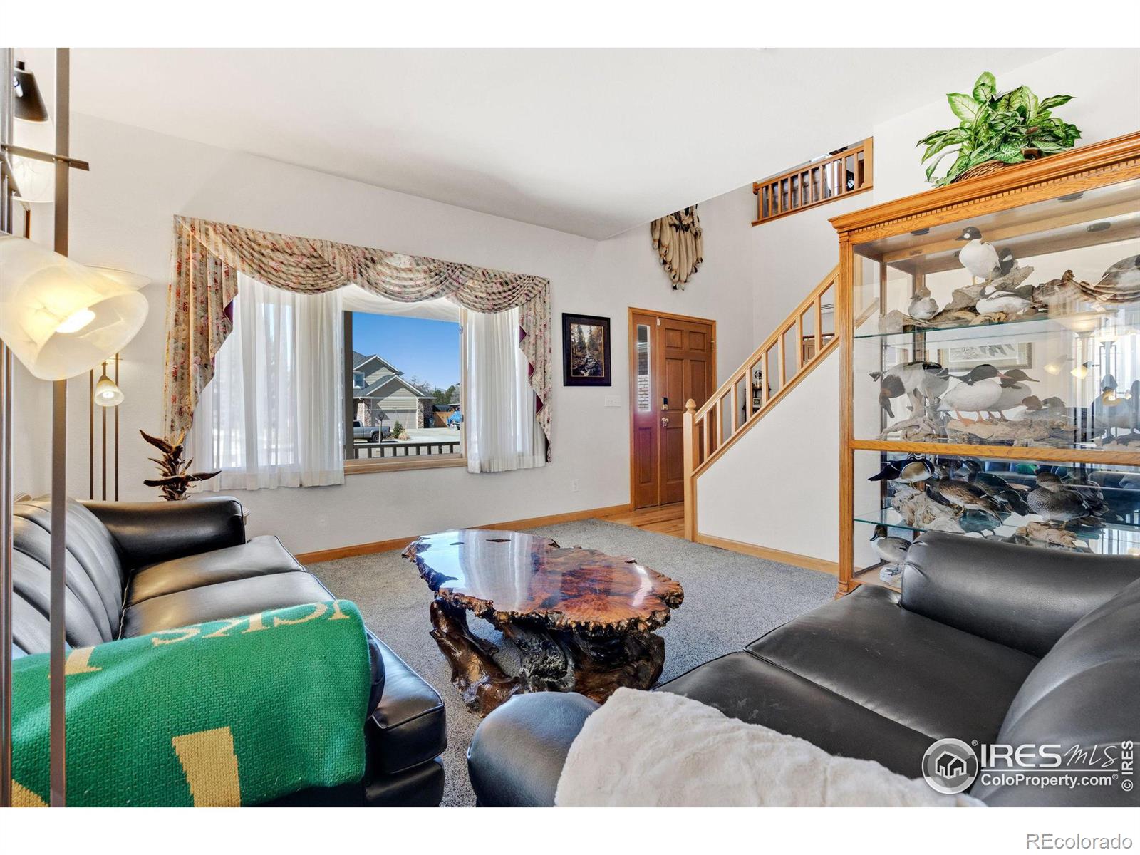 MLS Image #5 for 2420  willow lane,longmont, Colorado