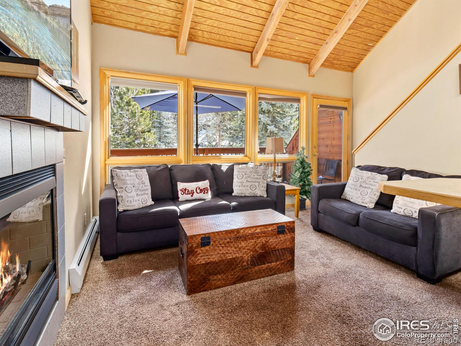 MLS Image #13 for 1400  david drive,estes park, Colorado