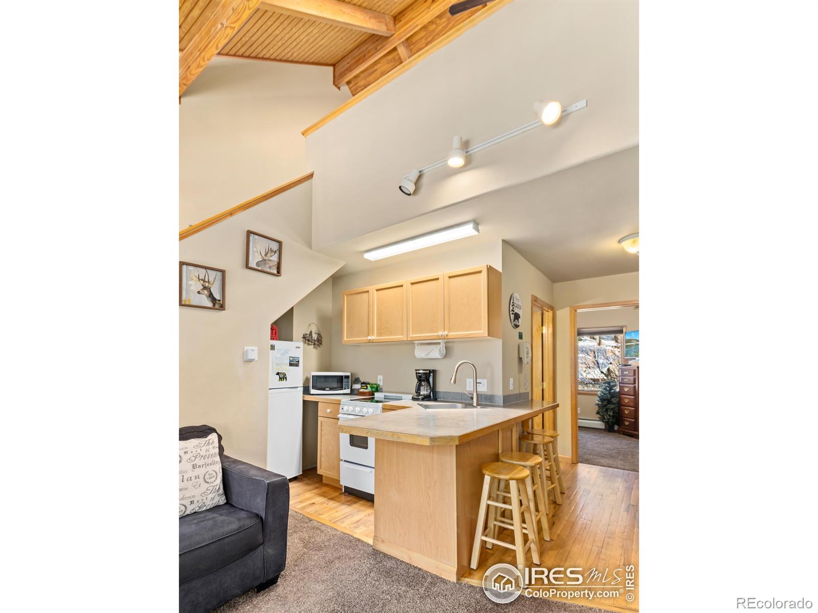 MLS Image #17 for 1400  david drive,estes park, Colorado