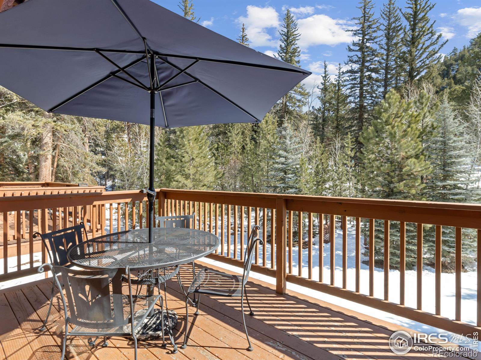 MLS Image #19 for 1400  david drive,estes park, Colorado