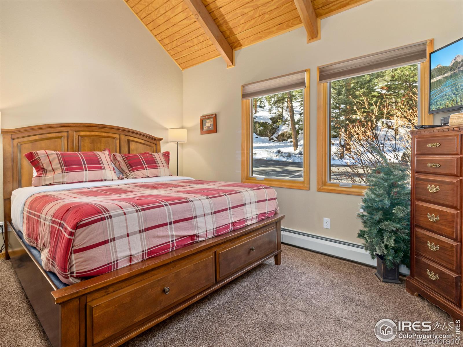 MLS Image #22 for 1400  david drive,estes park, Colorado