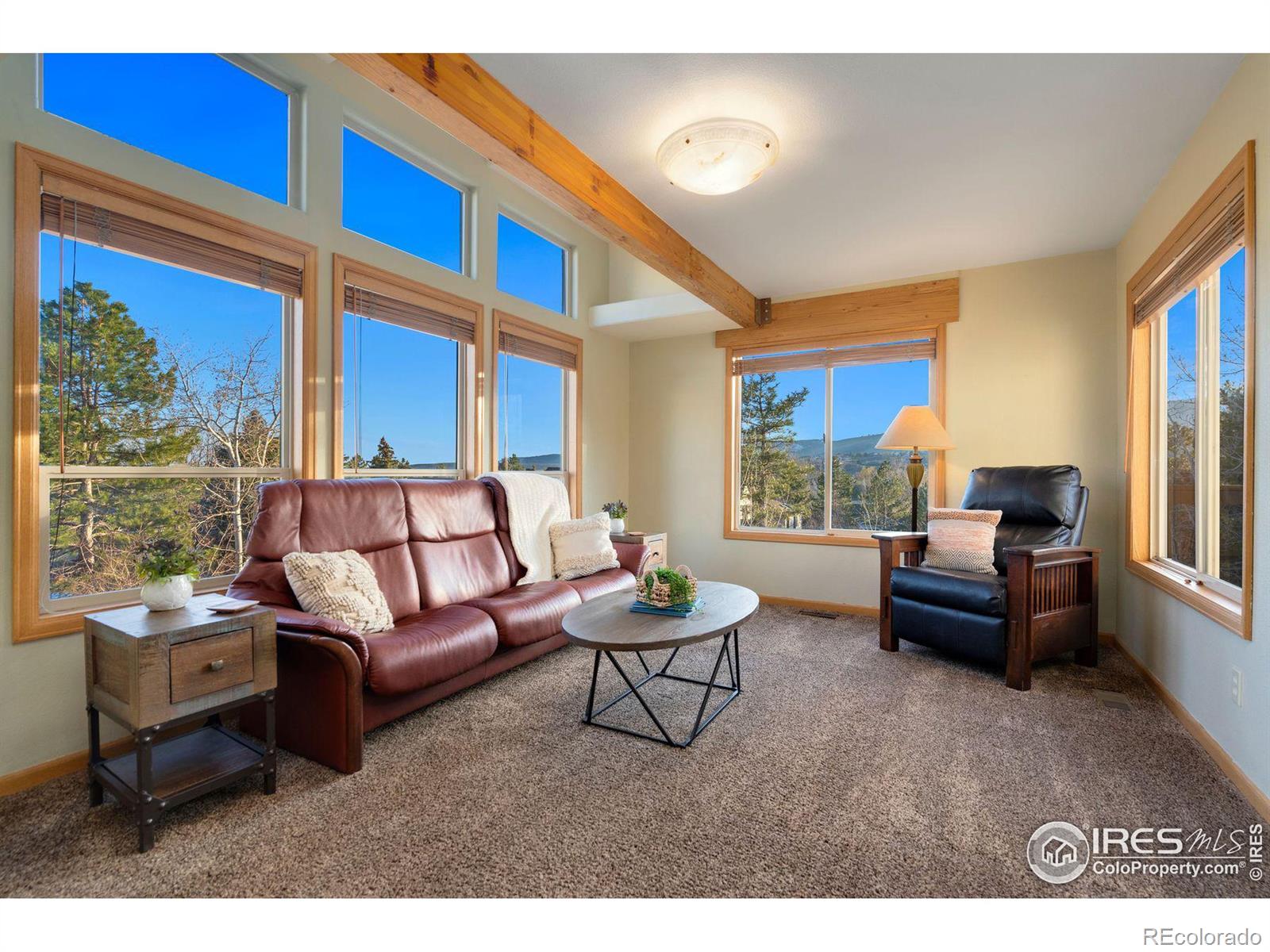 MLS Image #11 for 2304  nottingham court,fort collins, Colorado