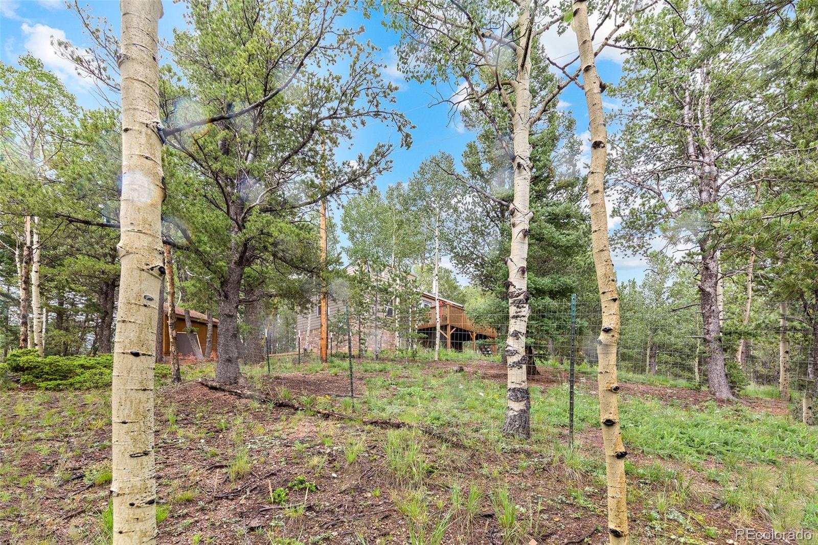 MLS Image #40 for 150  fluorite lane,divide, Colorado