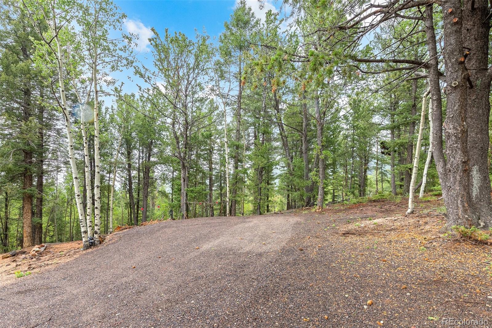 MLS Image #43 for 150  fluorite lane,divide, Colorado