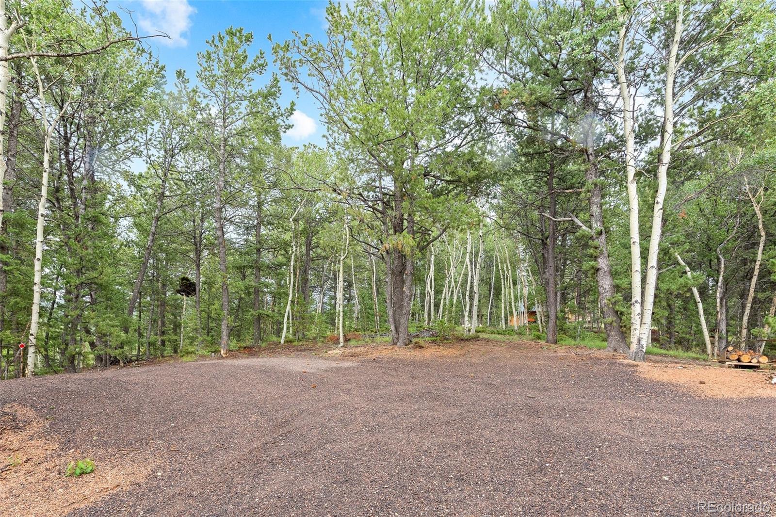 MLS Image #44 for 150  fluorite lane,divide, Colorado