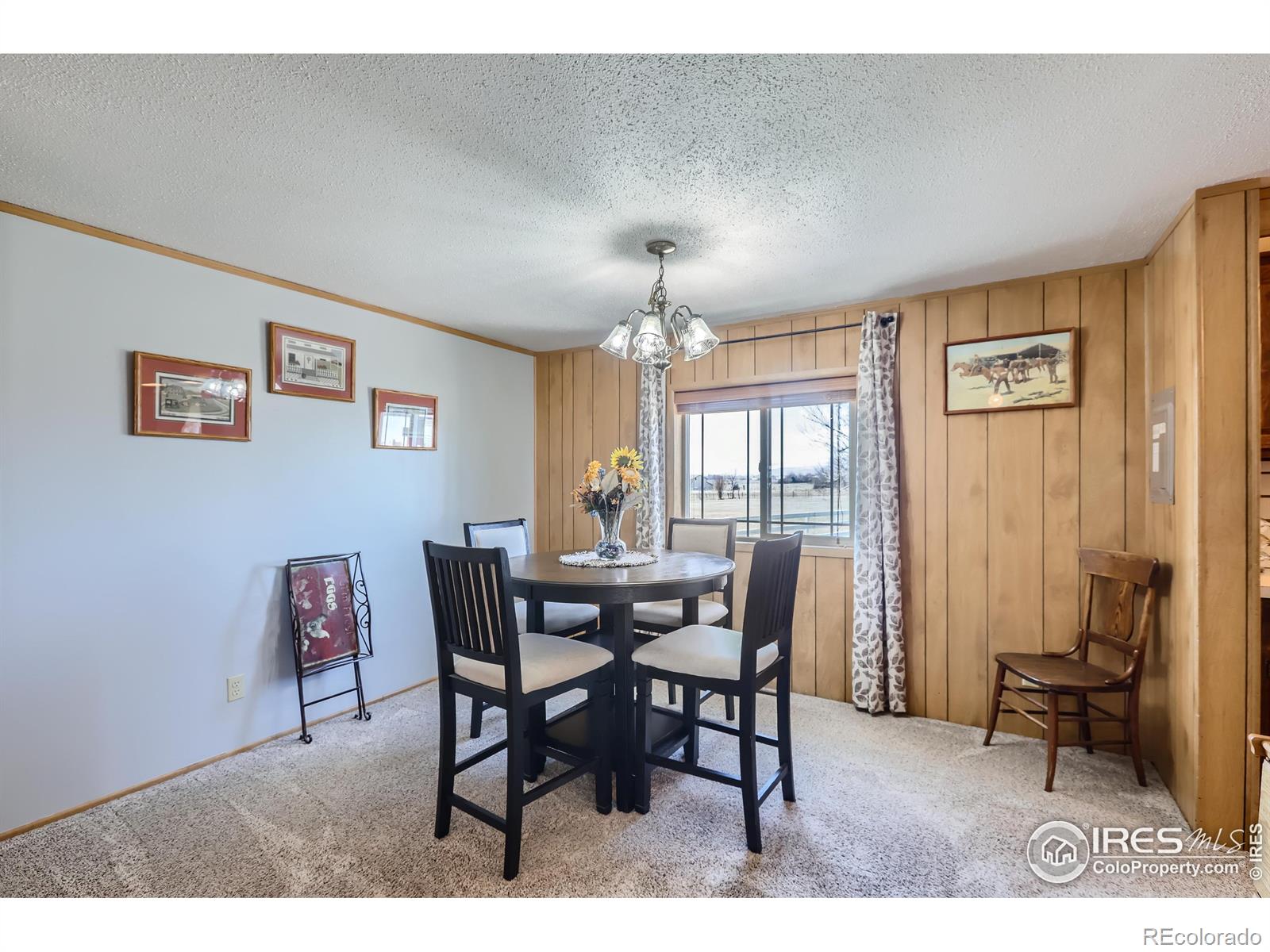 MLS Image #8 for 4601 s county road 13 road,loveland, Colorado