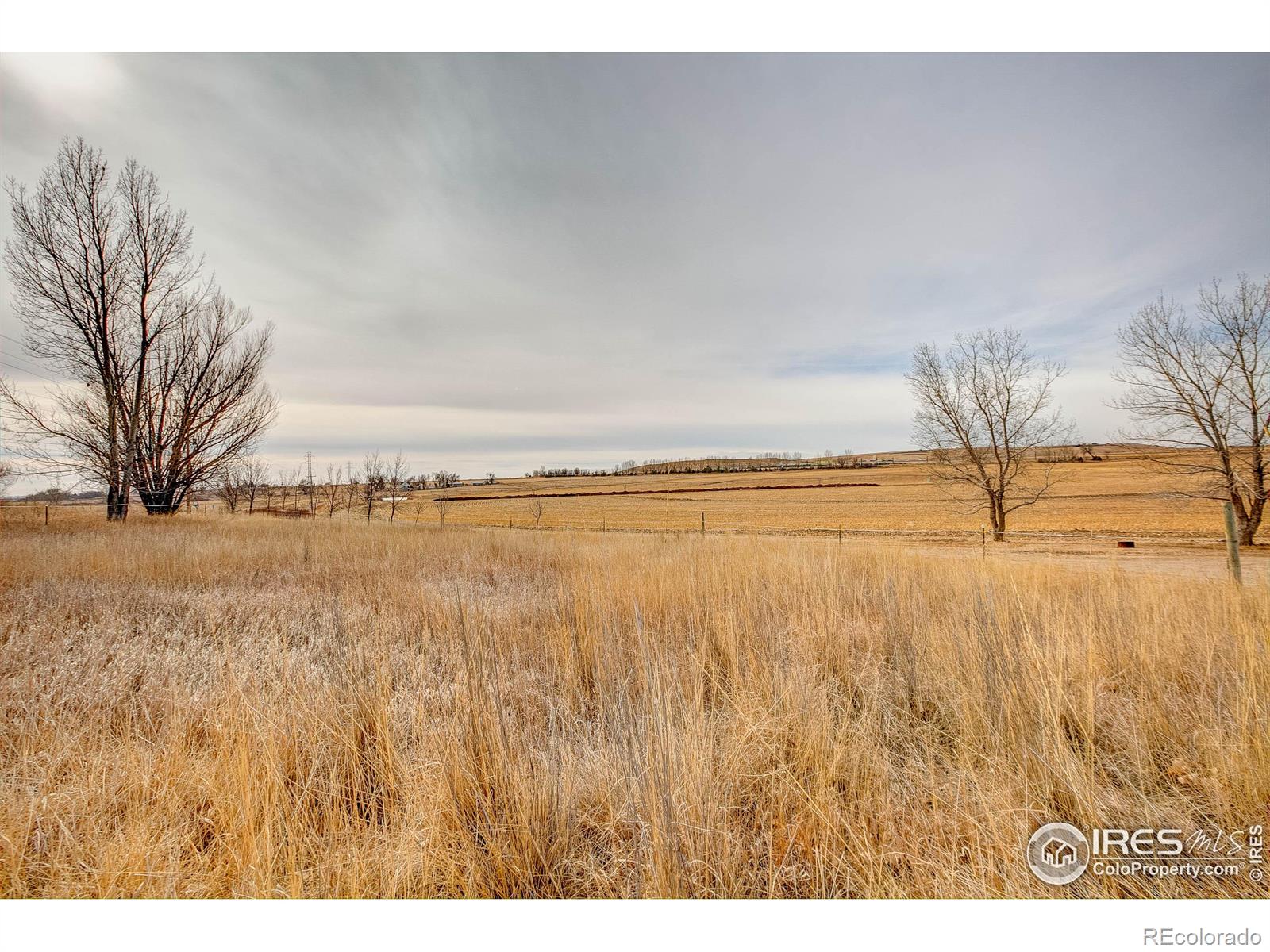 MLS Image #29 for 40901  county road 27 ,ault, Colorado