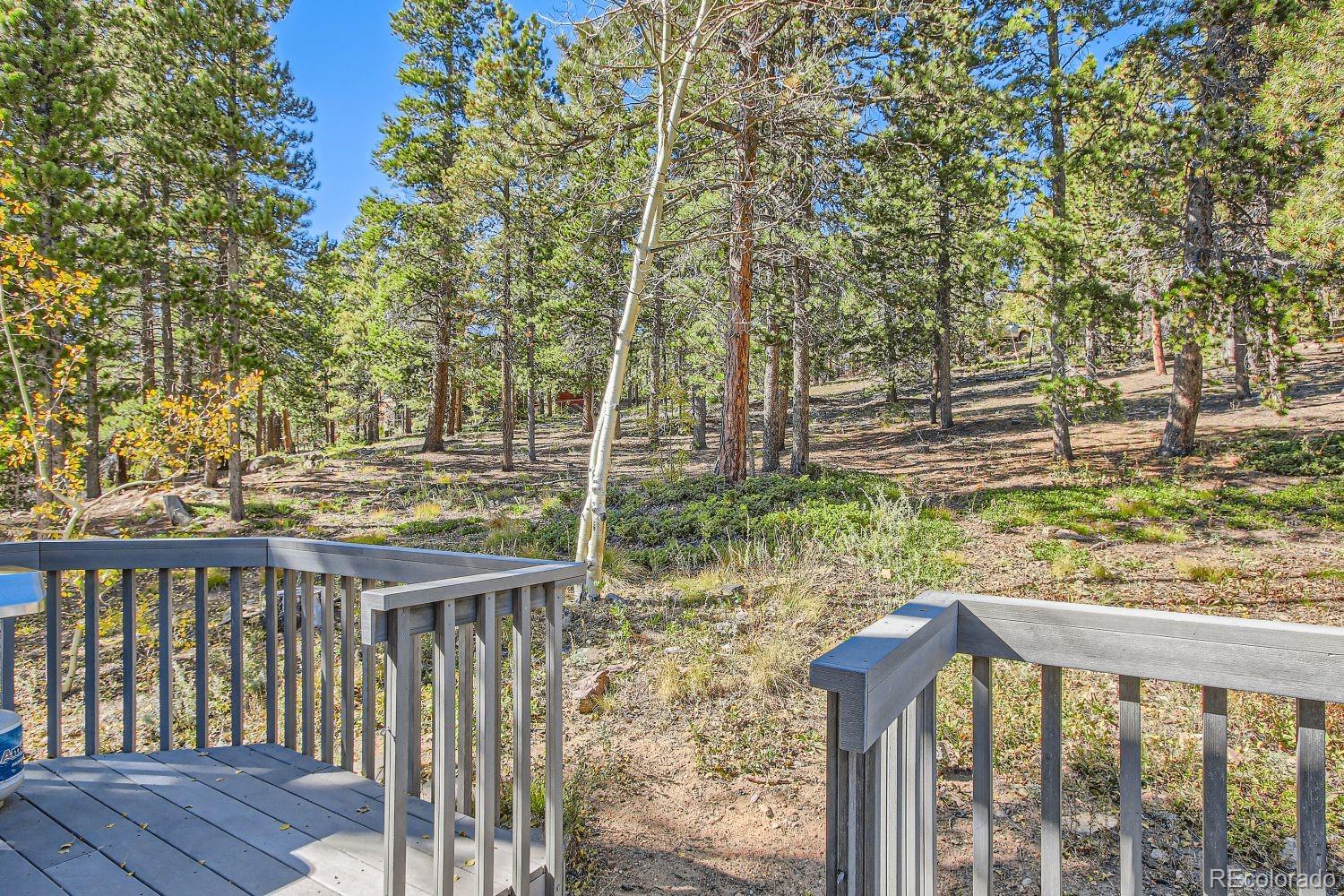 MLS Image #19 for 2120  coyote cr ,black hawk, Colorado