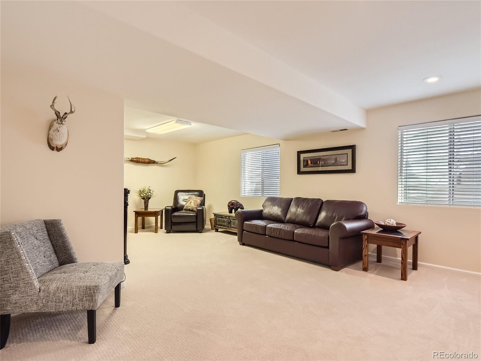 MLS Image #22 for 94  canongate lane,highlands ranch, Colorado