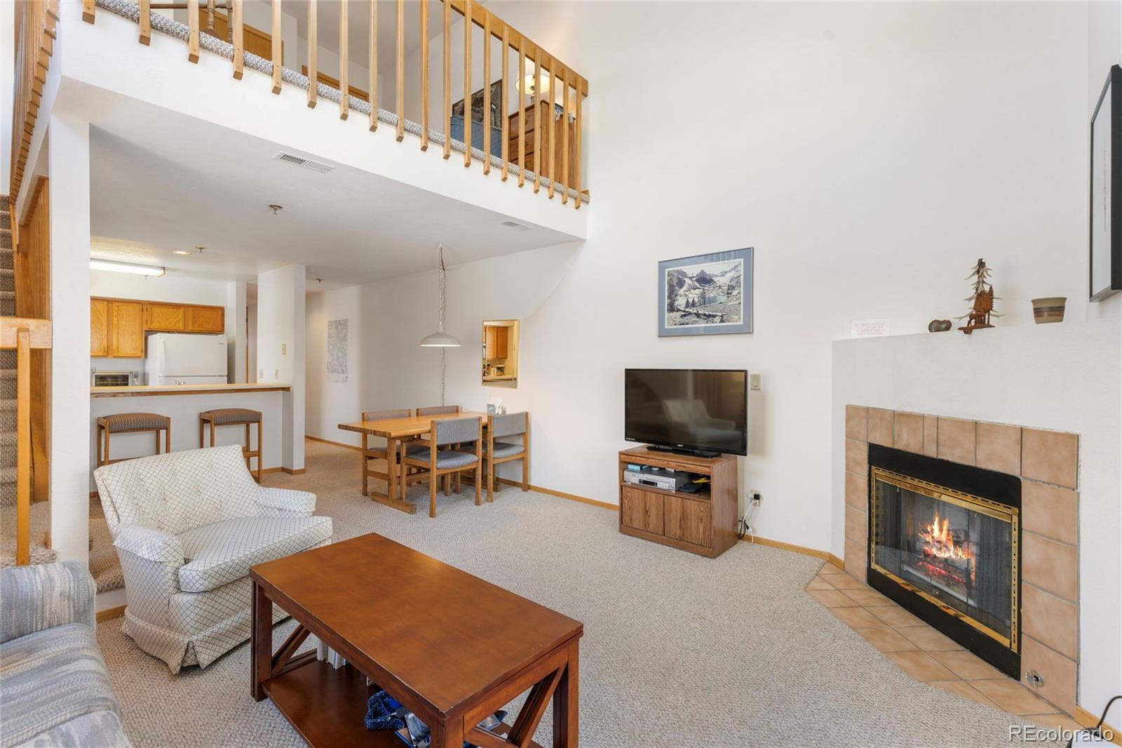 MLS Image #10 for 755 s 5th avenue,frisco, Colorado