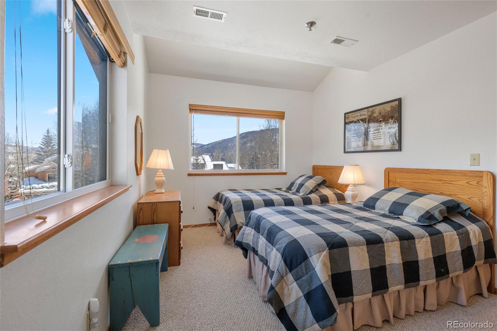 MLS Image #23 for 755 s 5th avenue,frisco, Colorado