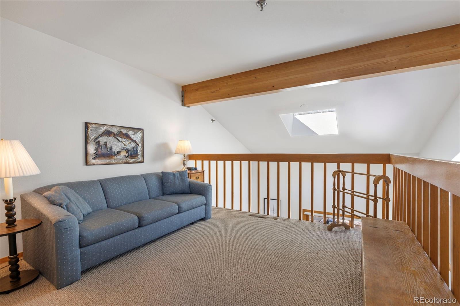 MLS Image #26 for 755 s 5th avenue,frisco, Colorado