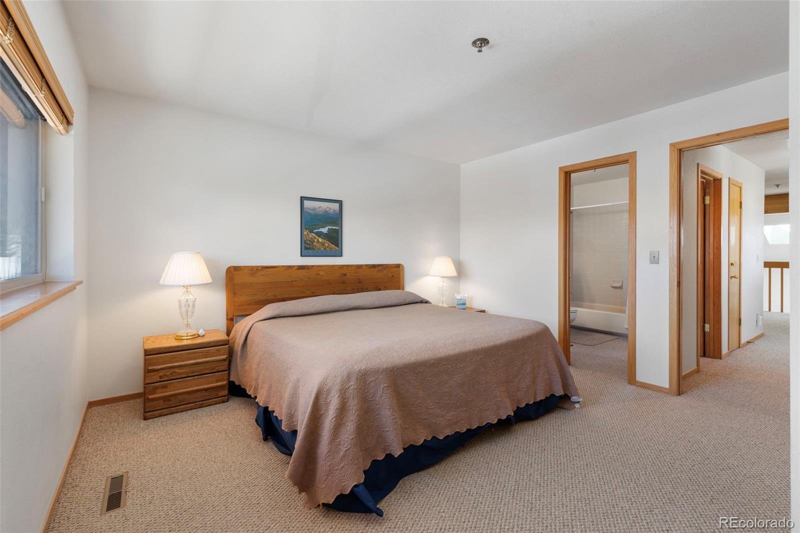 MLS Image #29 for 755 s 5th avenue,frisco, Colorado