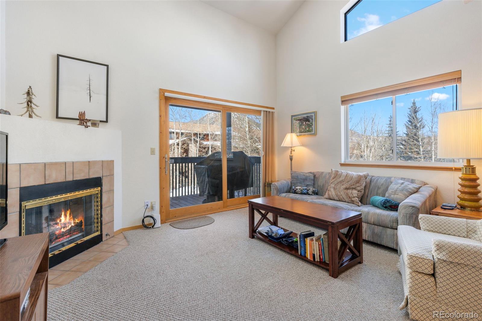 MLS Image #6 for 755 s 5th avenue,frisco, Colorado