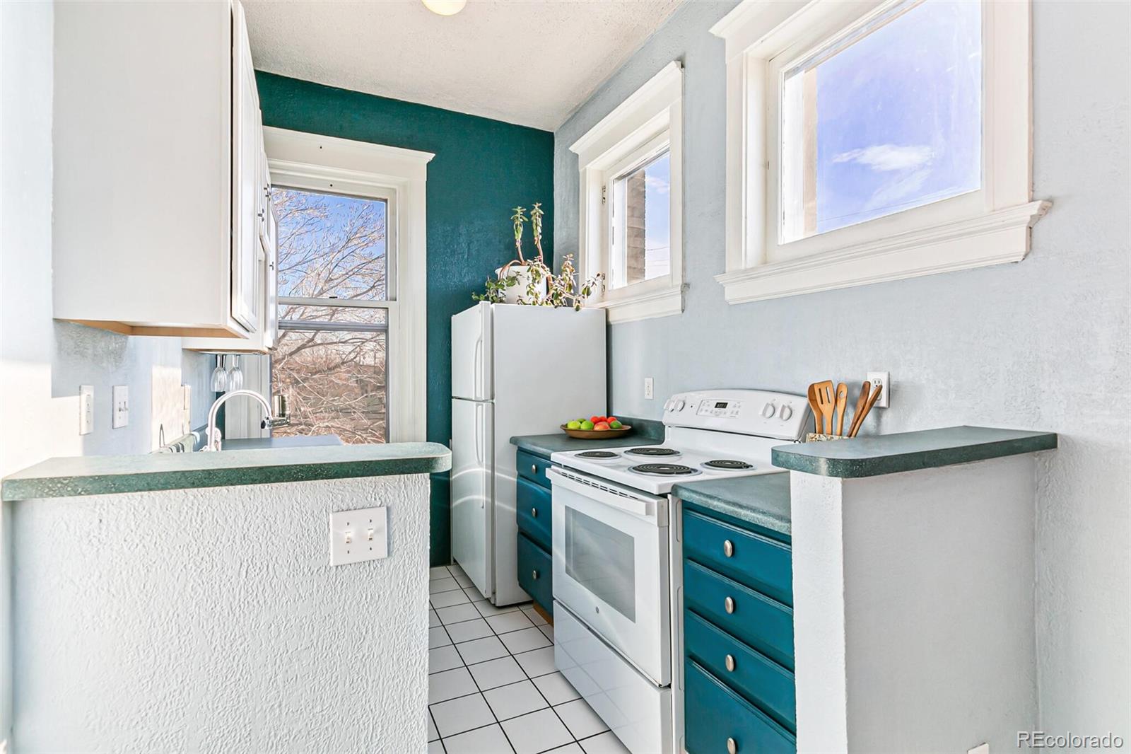 MLS Image #10 for 108 w byers place,denver, Colorado