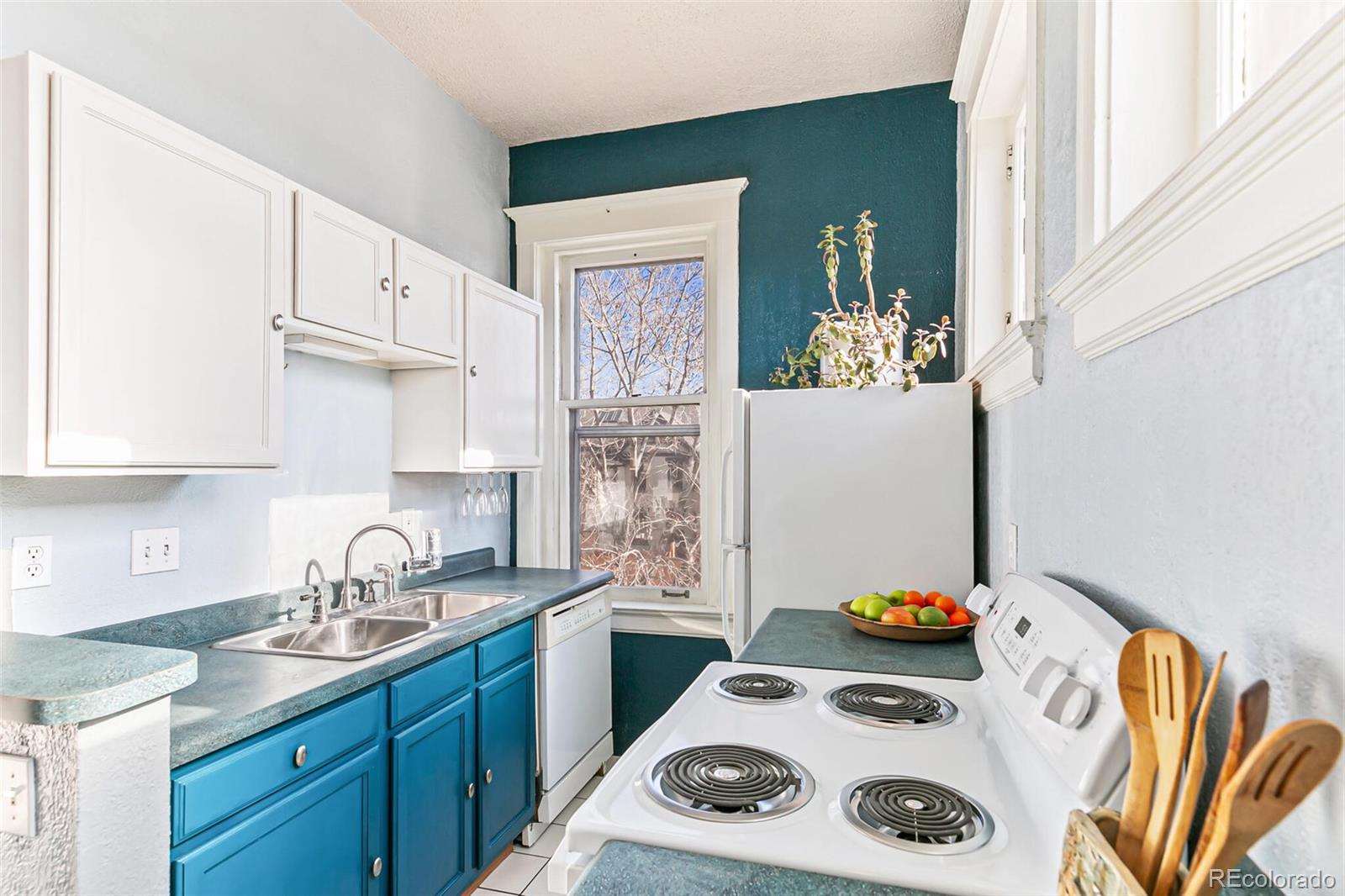 MLS Image #11 for 108 w byers place,denver, Colorado