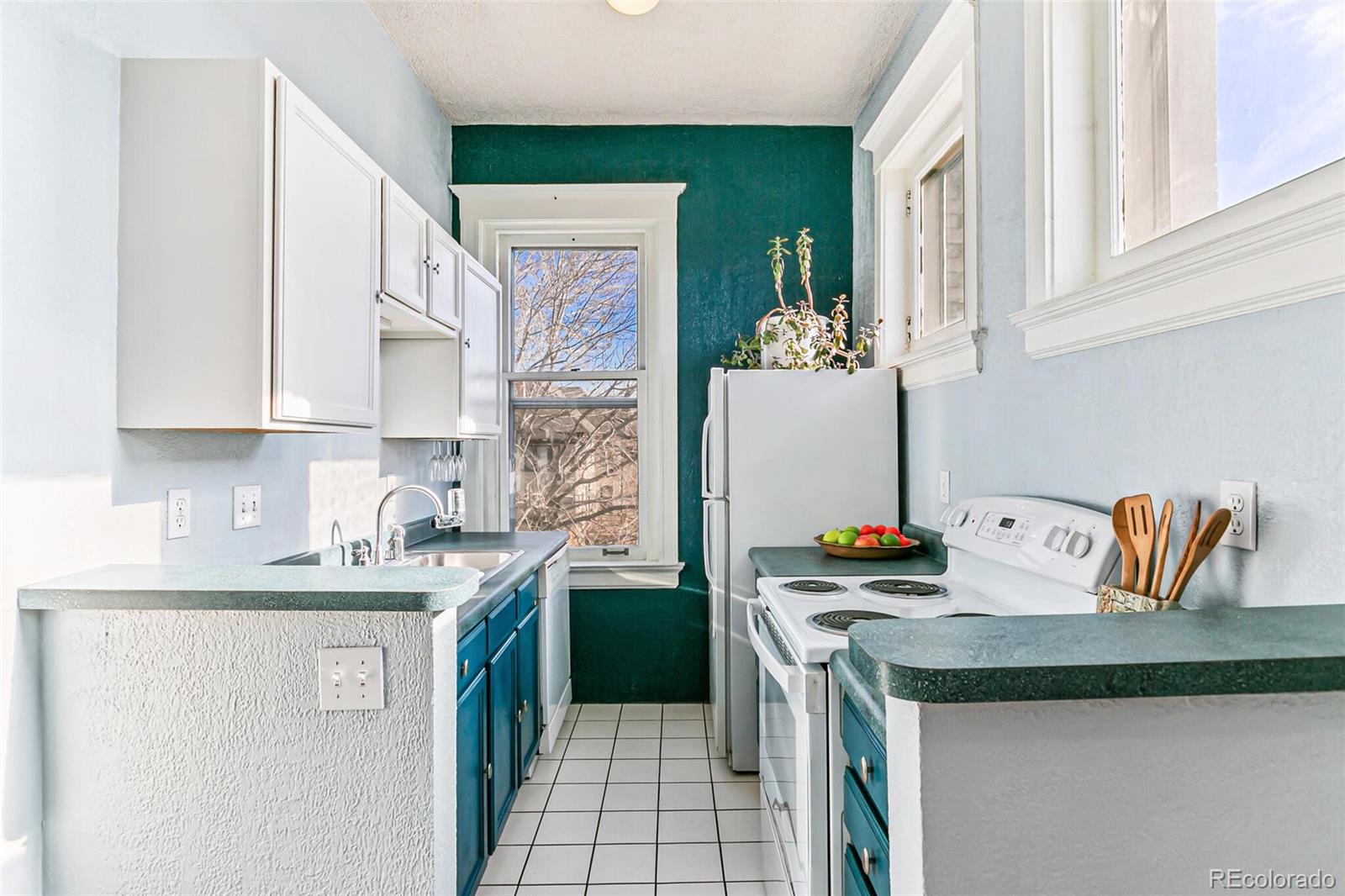 MLS Image #9 for 108 w byers place,denver, Colorado