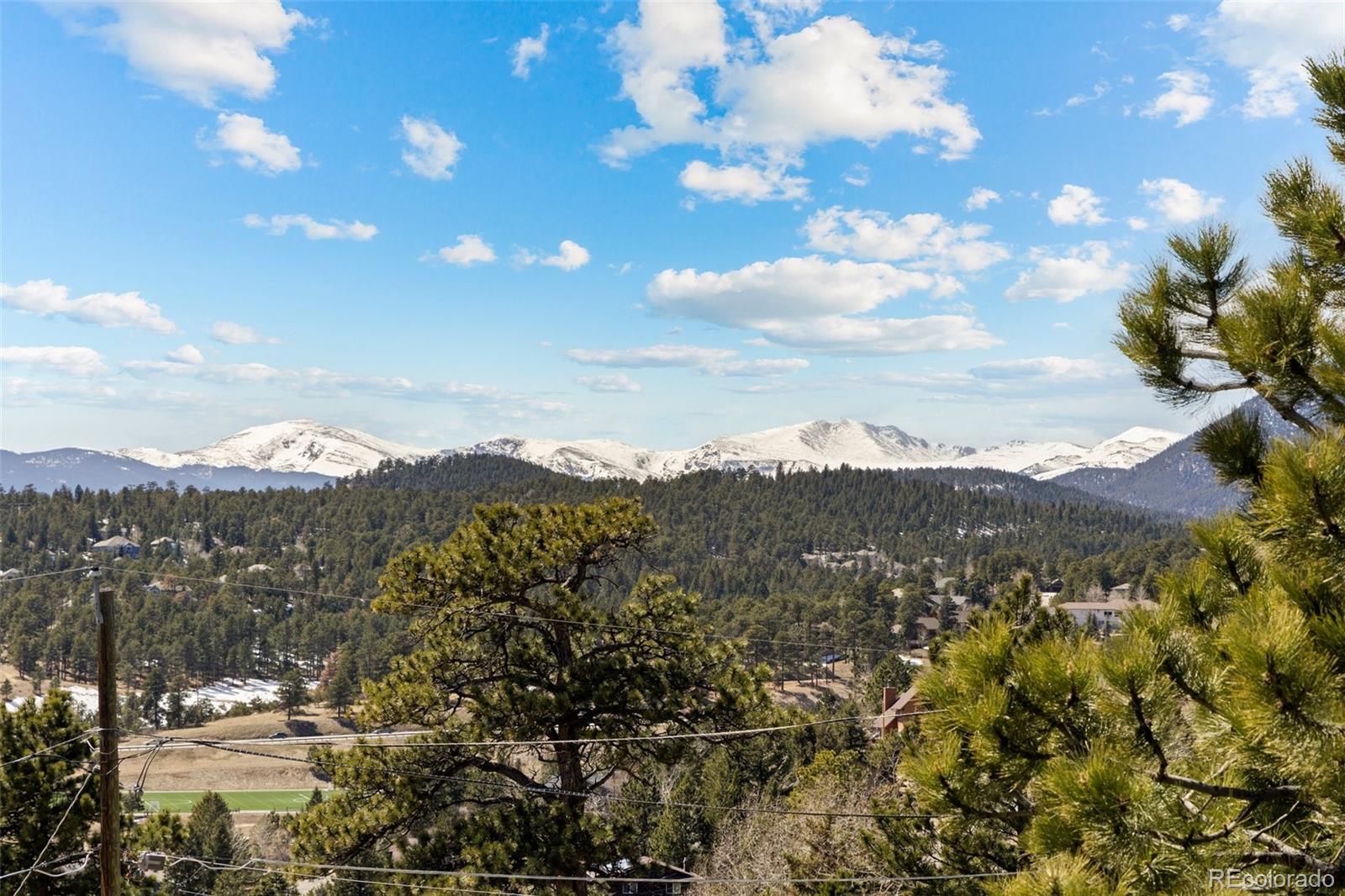 MLS Image #4 for 30050  chestnut drive,evergreen, Colorado