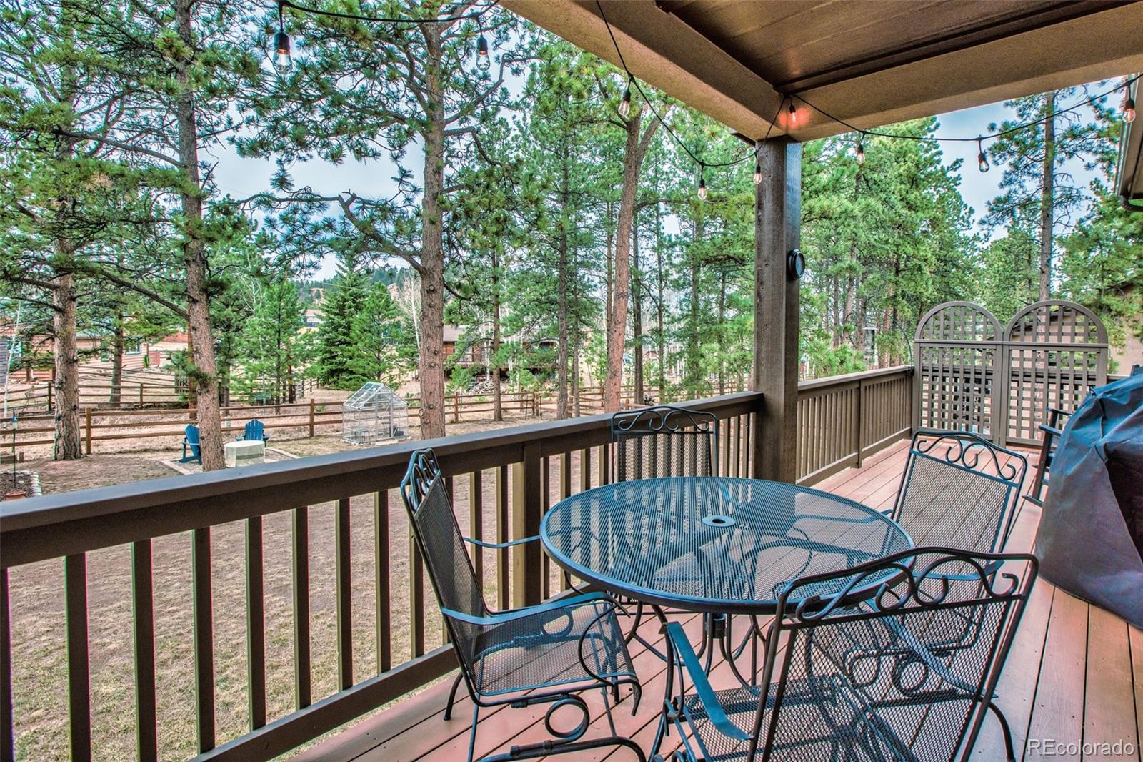 MLS Image #36 for 1170  ptarmigan drive,woodland park, Colorado