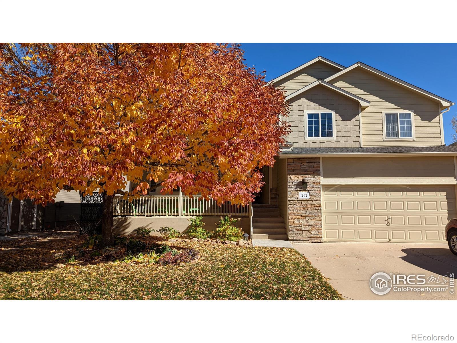 MLS Image #0 for 202  snow goose avenue,loveland, Colorado