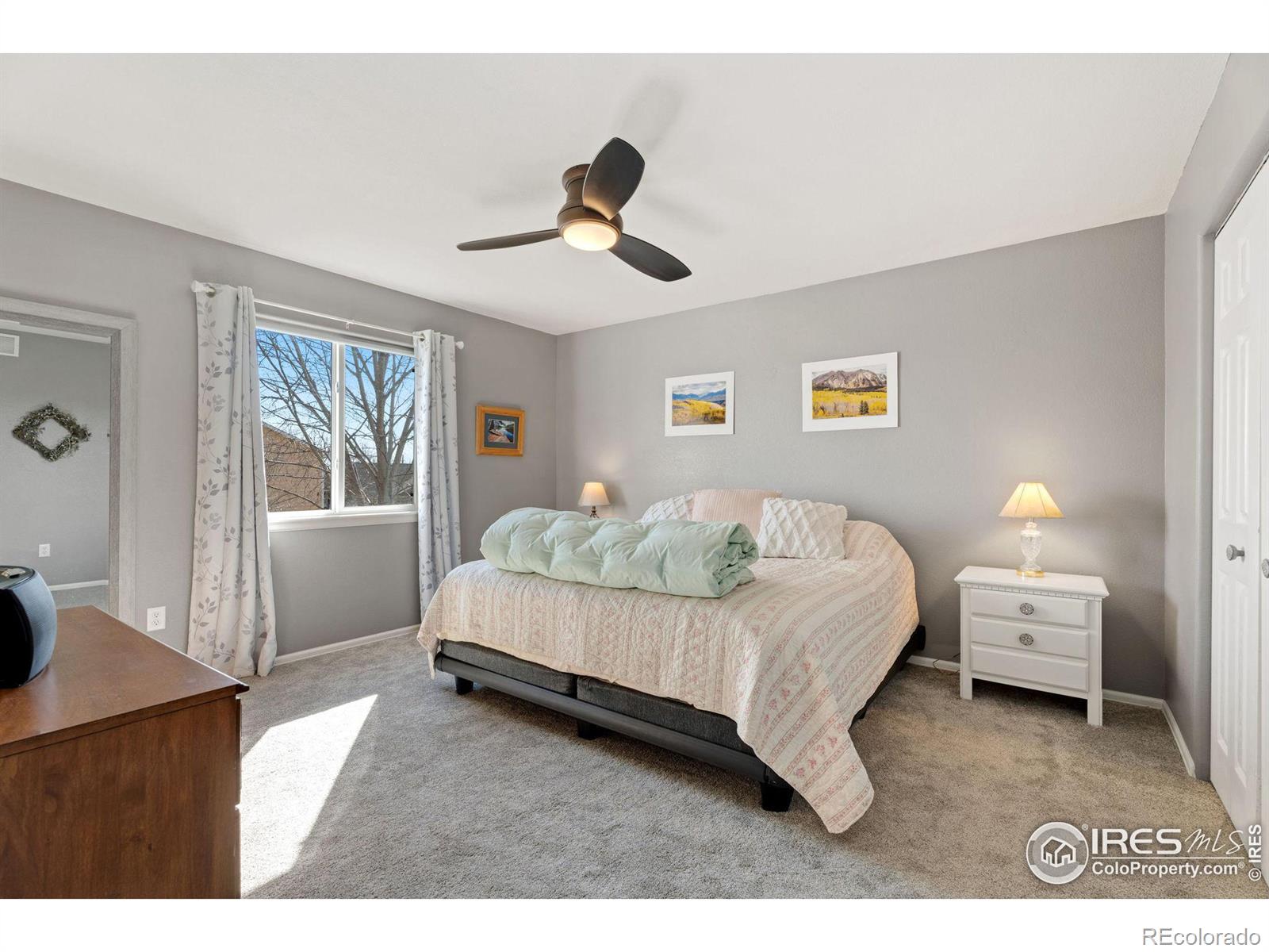 MLS Image #12 for 202  snow goose avenue,loveland, Colorado