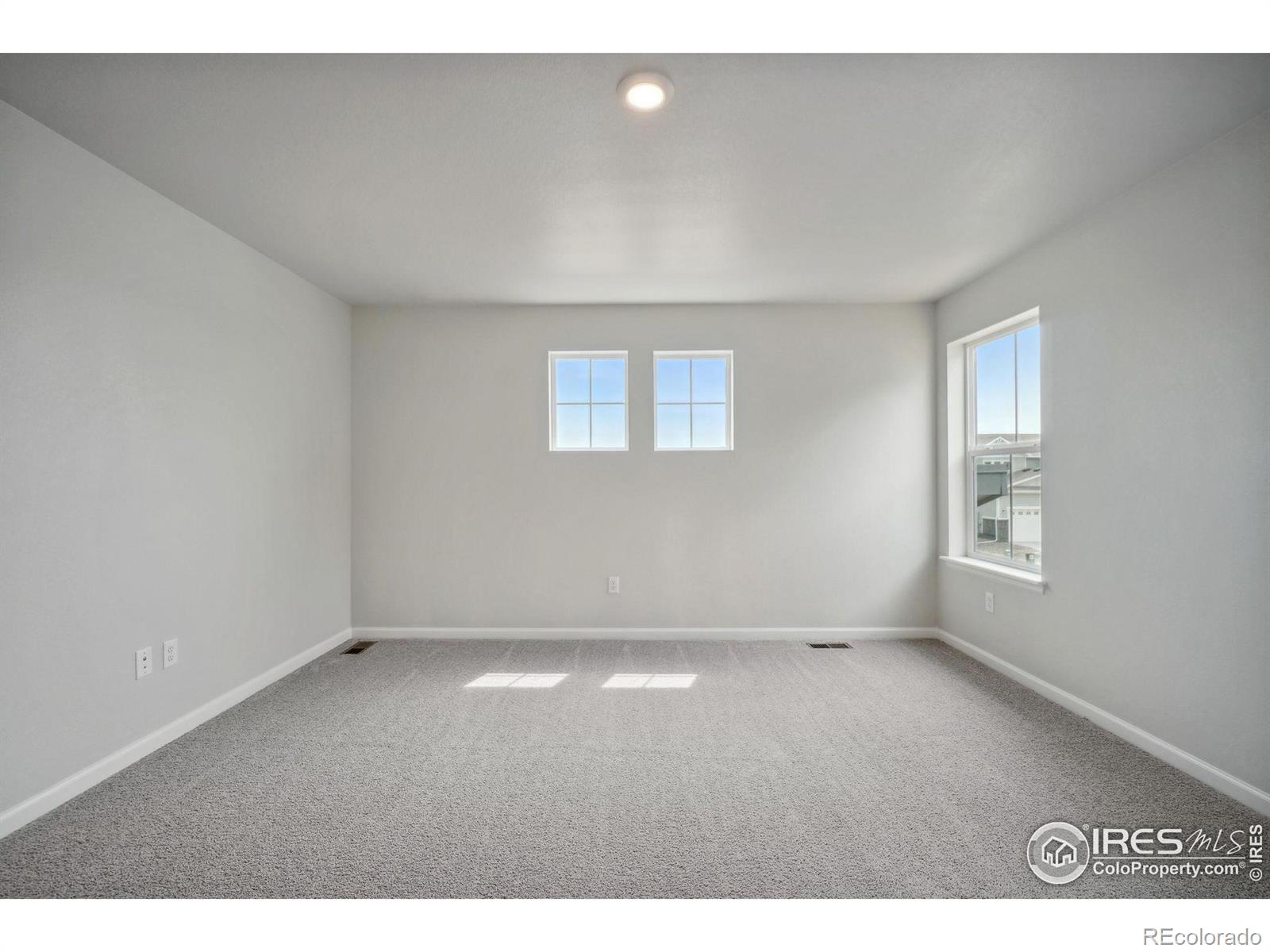 MLS Image #19 for 832  hummocky way,windsor, Colorado