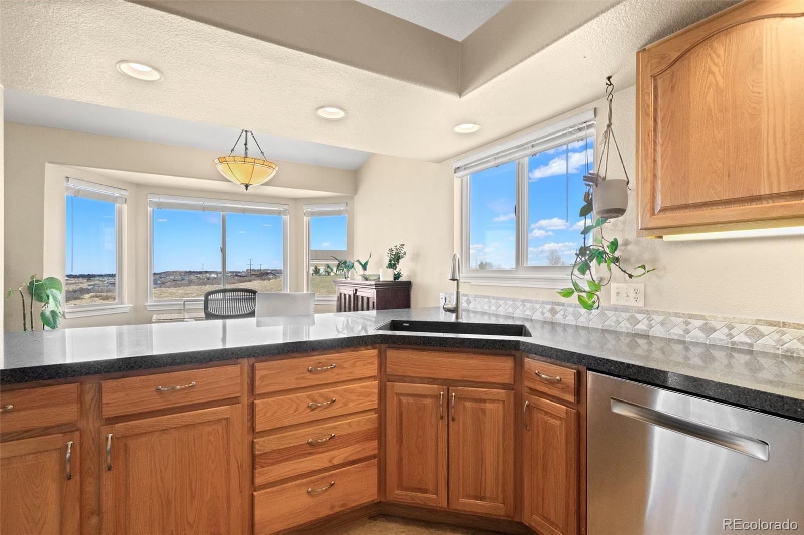 MLS Image #12 for 211  las lunas street,castle rock, Colorado