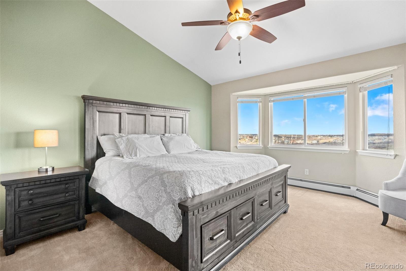 MLS Image #28 for 211  las lunas street,castle rock, Colorado