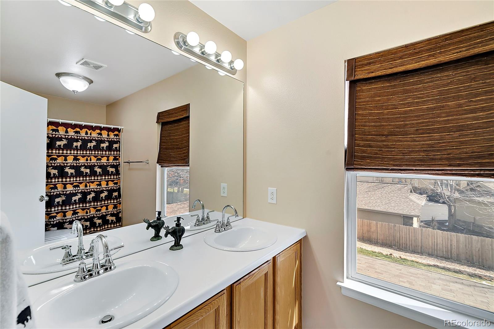 MLS Image #12 for 3362 s nelson court,lakewood, Colorado