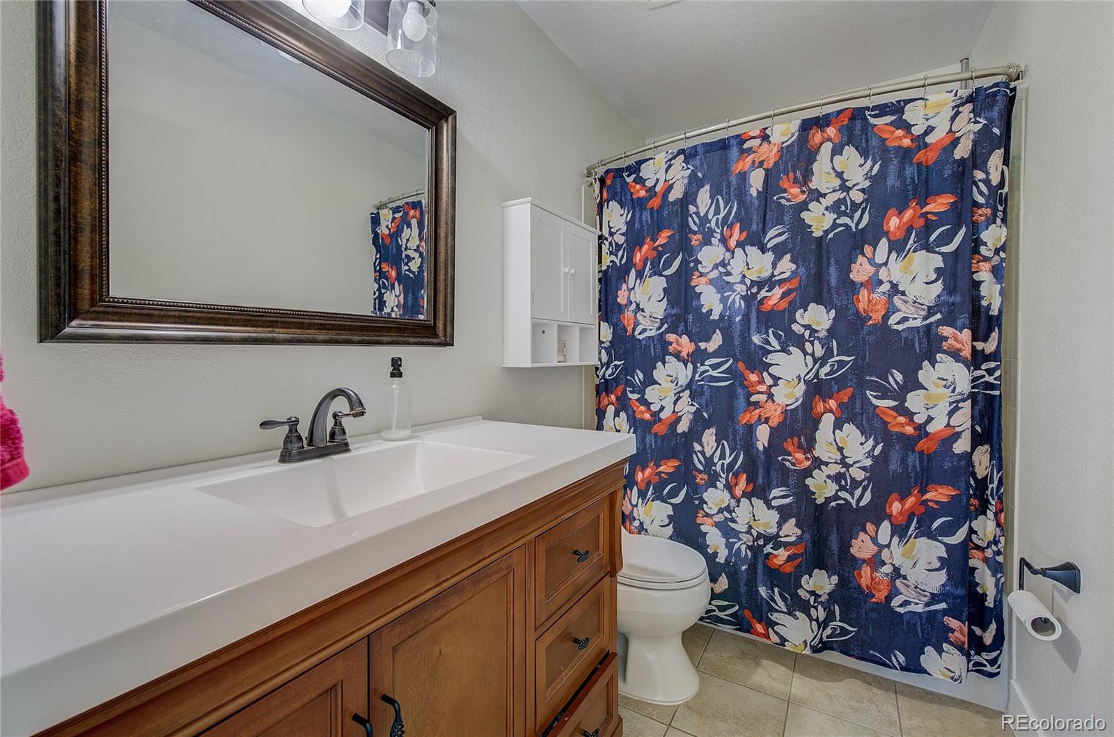 MLS Image #11 for 271 n holcomb circle,castle rock, Colorado
