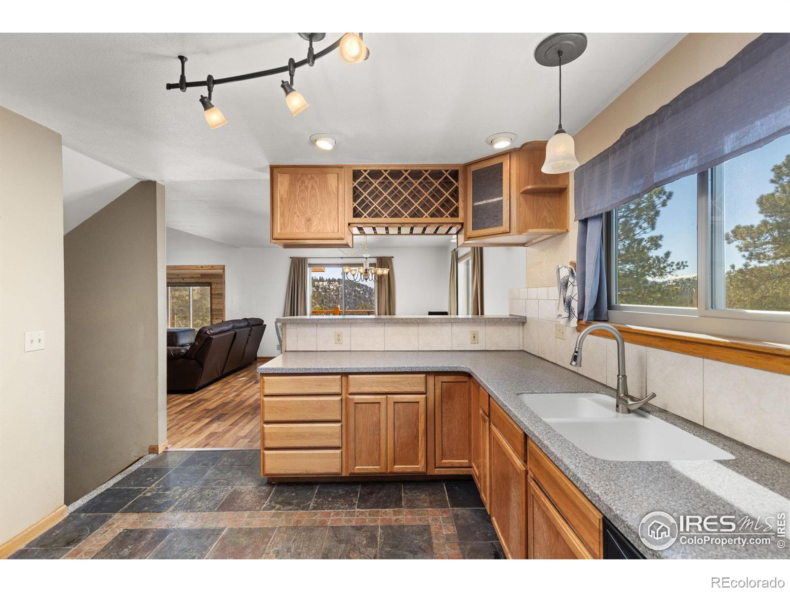 MLS Image #16 for 985  impala trail,bailey, Colorado