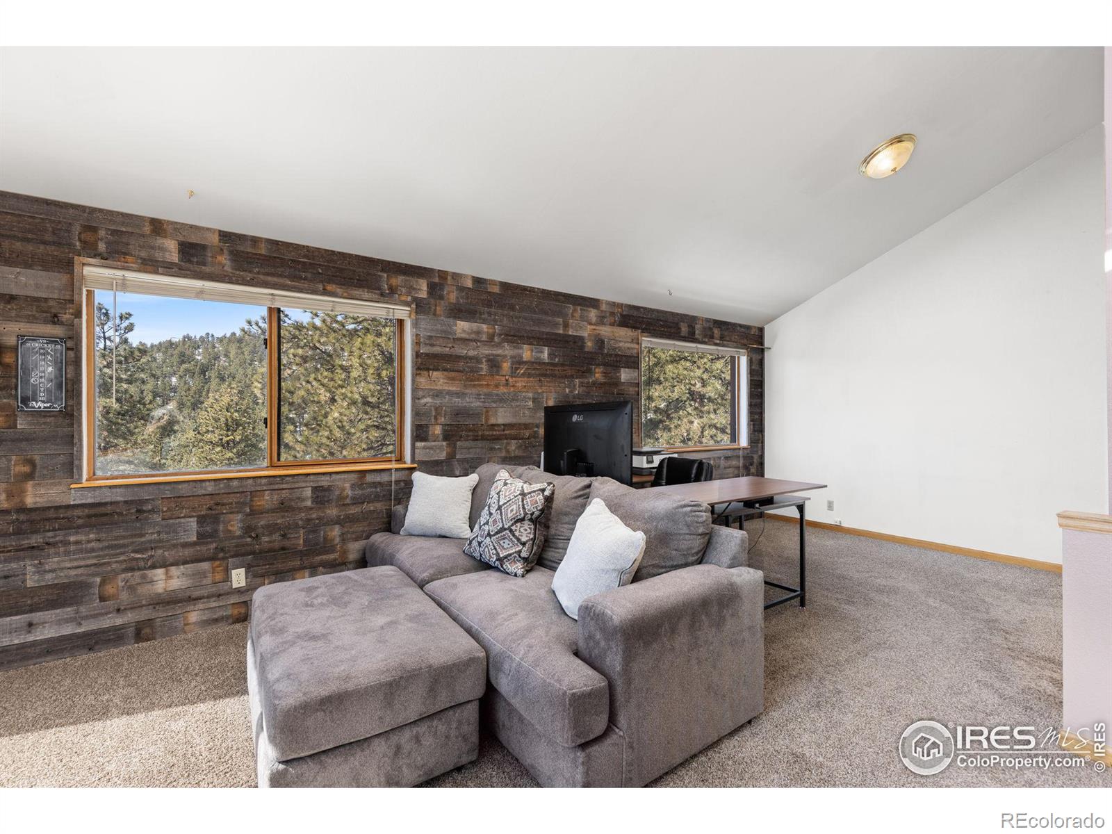 MLS Image #22 for 985  impala trail,bailey, Colorado