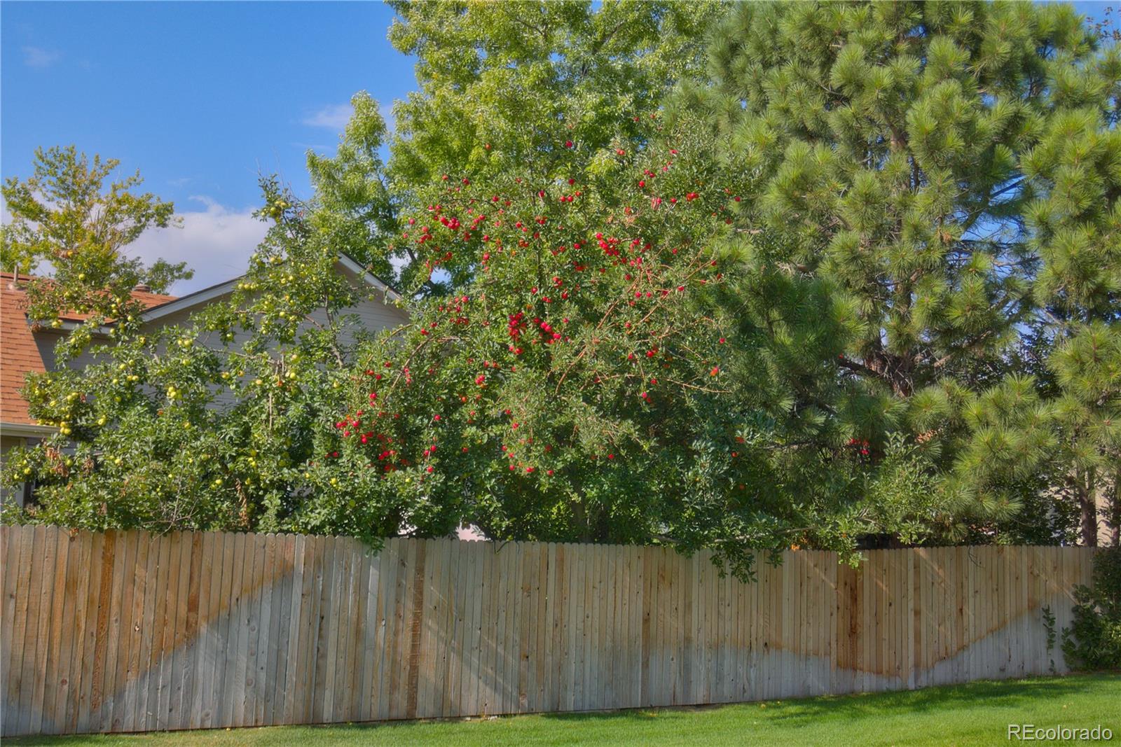 MLS Image #15 for 301  mulberry circle,broomfield, Colorado