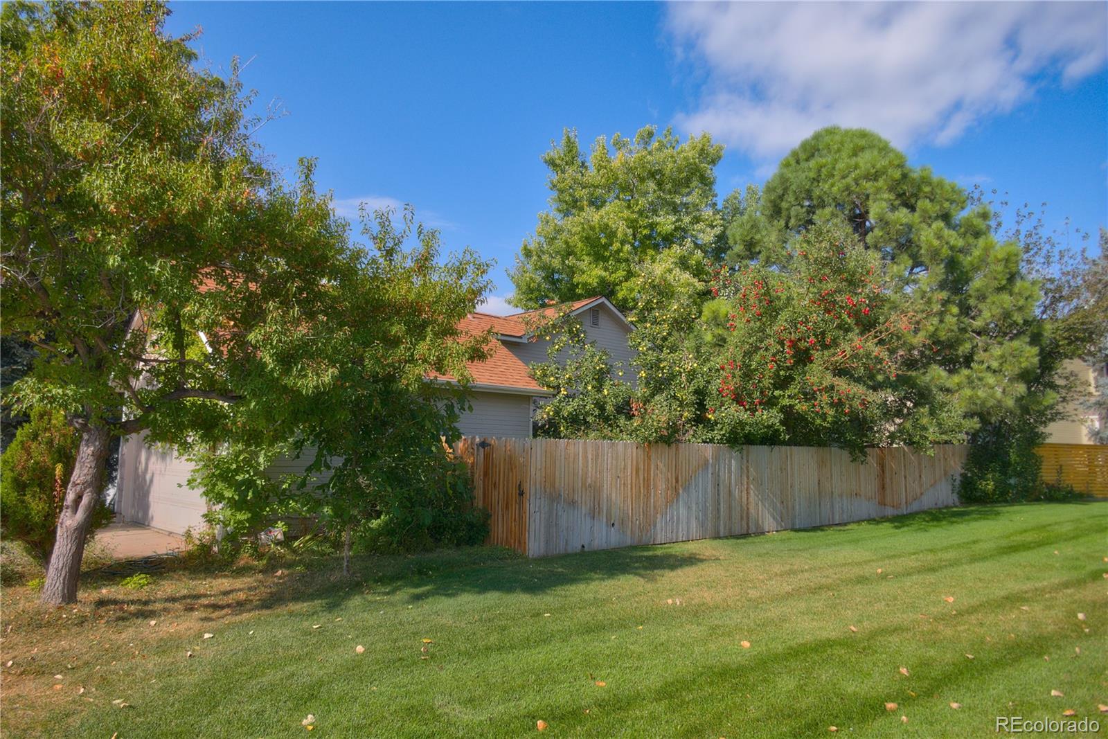 MLS Image #16 for 301  mulberry circle,broomfield, Colorado
