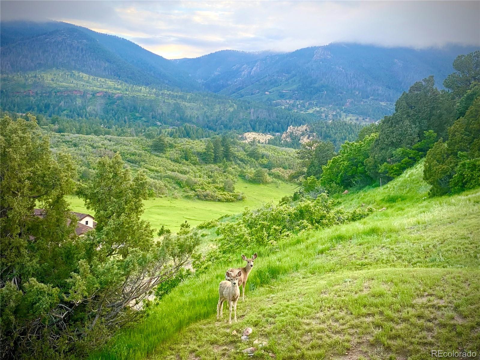 MLS Image #37 for 4458  sentinel rock ,larkspur, Colorado