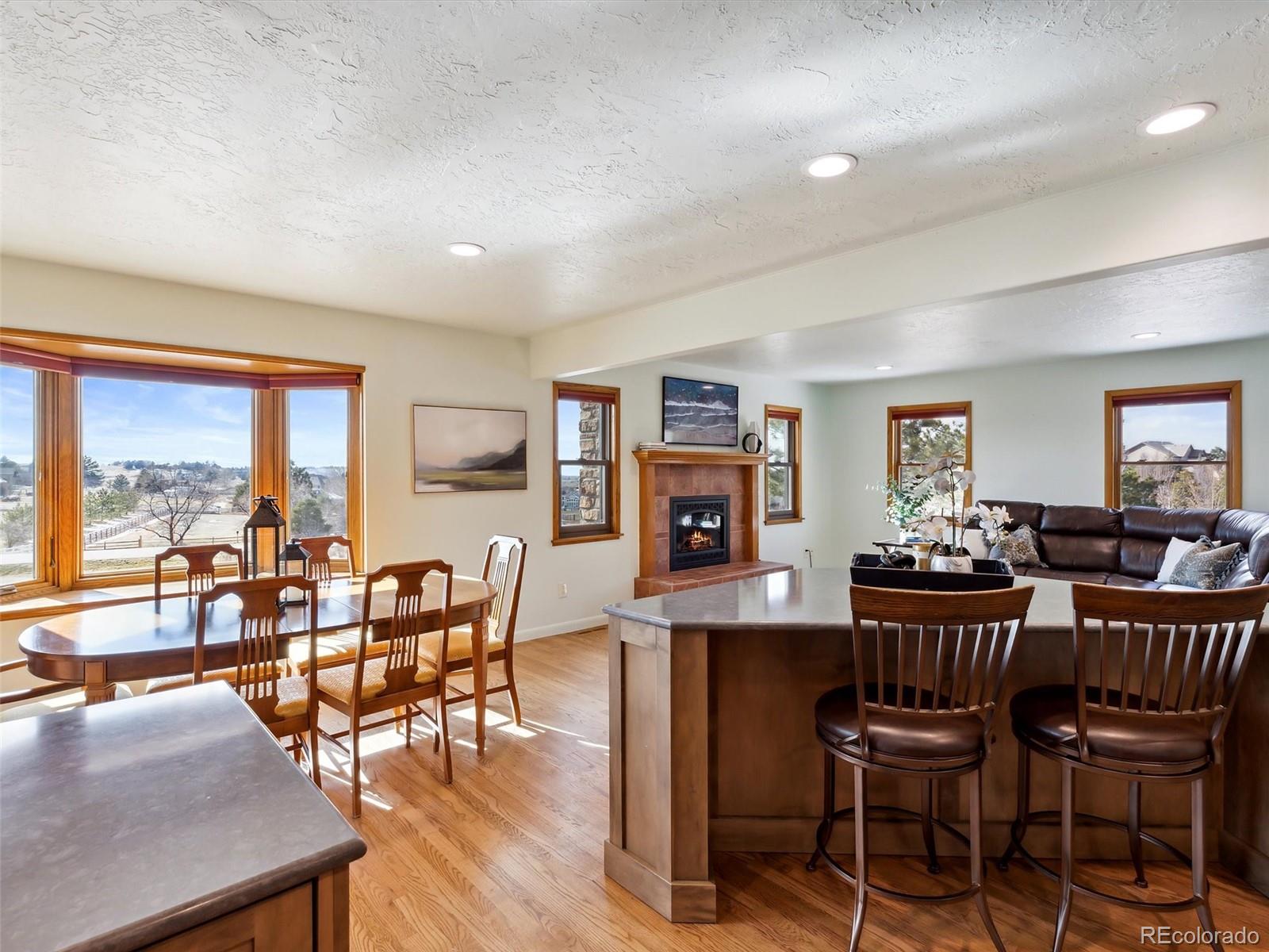 MLS Image #9 for 21830 e davies circle,centennial, Colorado