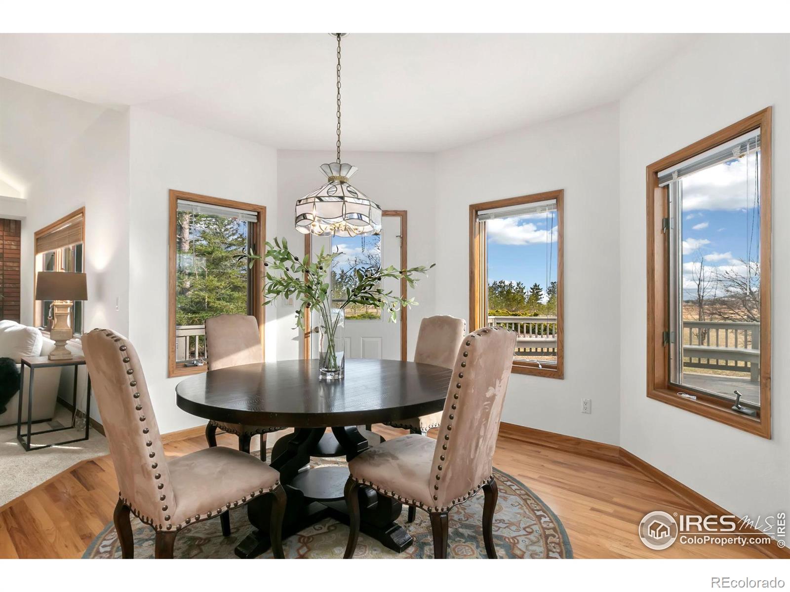 MLS Image #15 for 6252  panoramic drive,loveland, Colorado