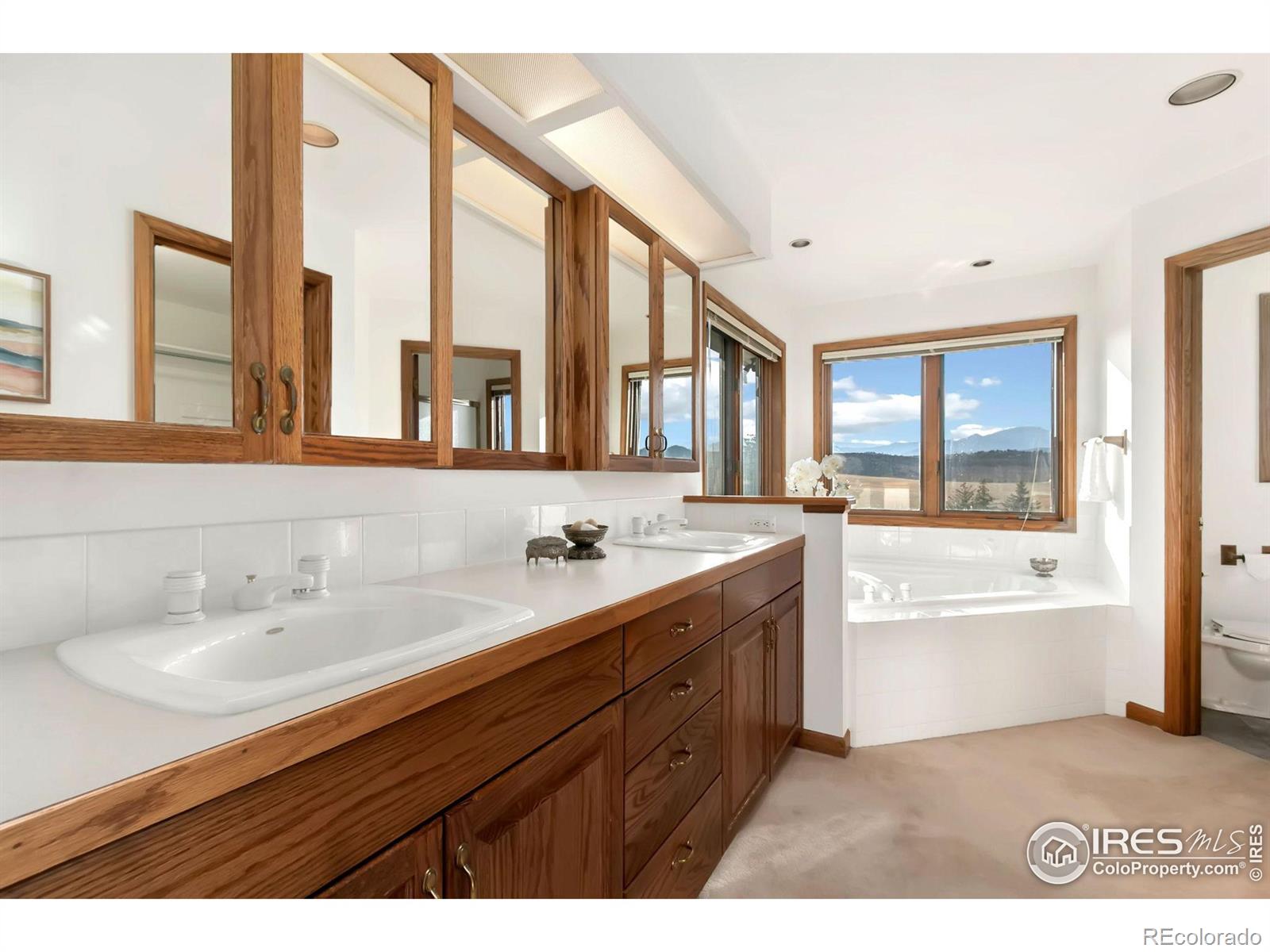 MLS Image #22 for 6252  panoramic drive,loveland, Colorado