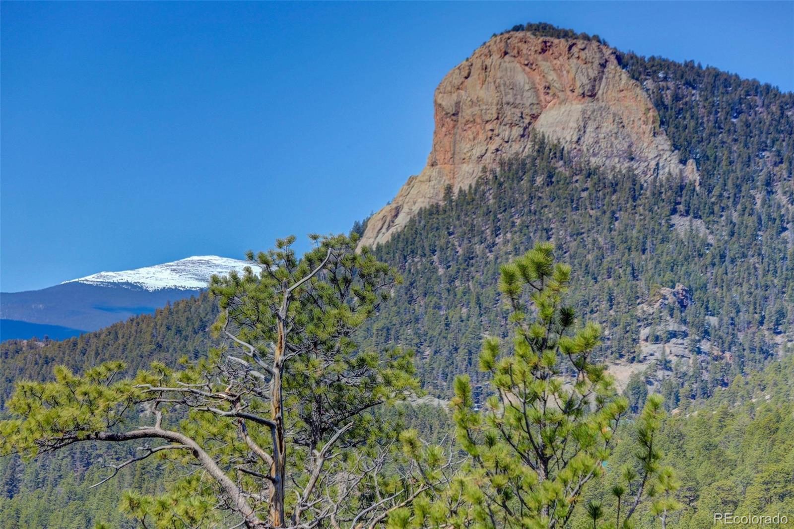 MLS Image #29 for 34339  berg lane,pine, Colorado