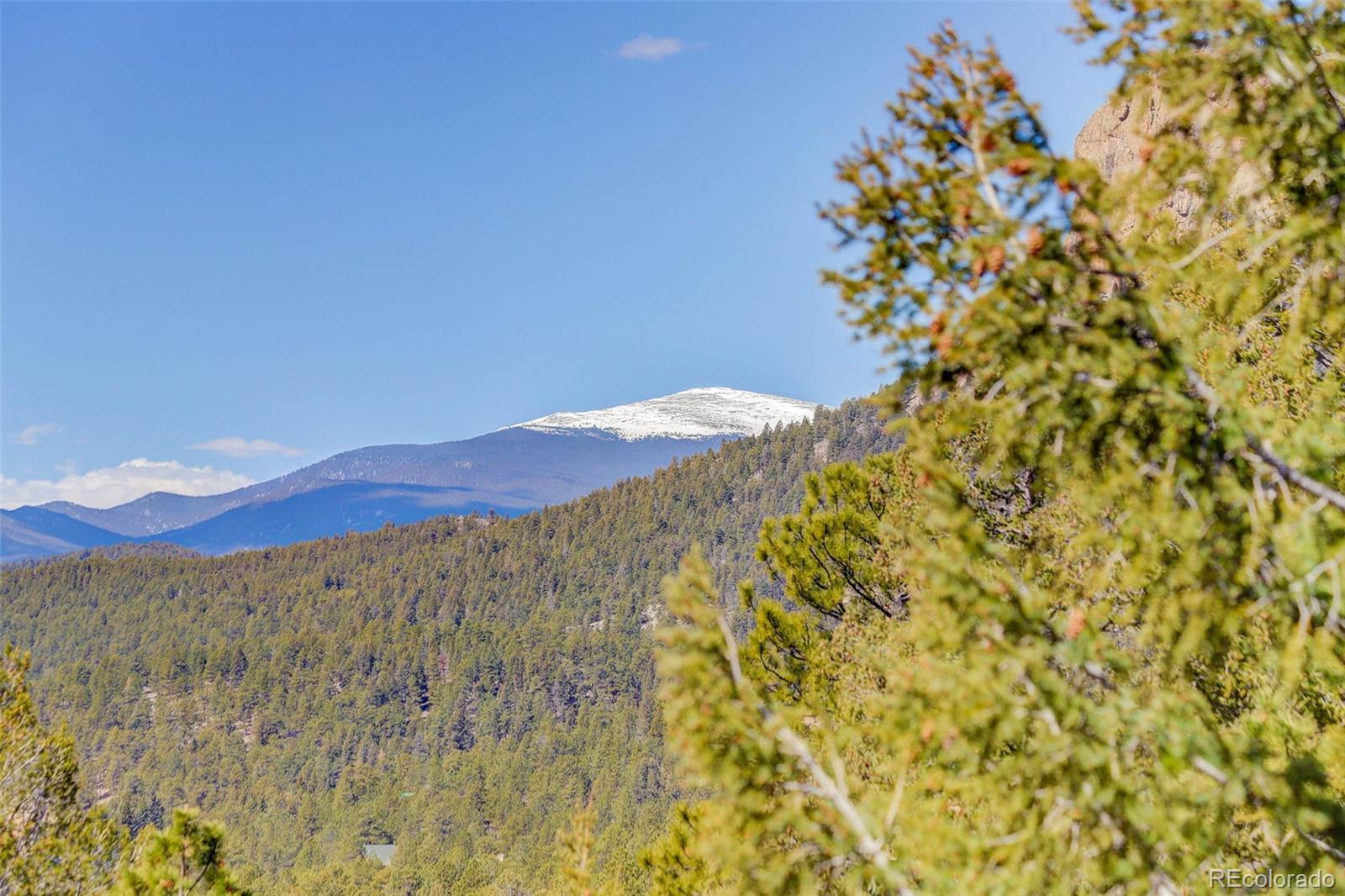 MLS Image #31 for 34339  berg lane,pine, Colorado