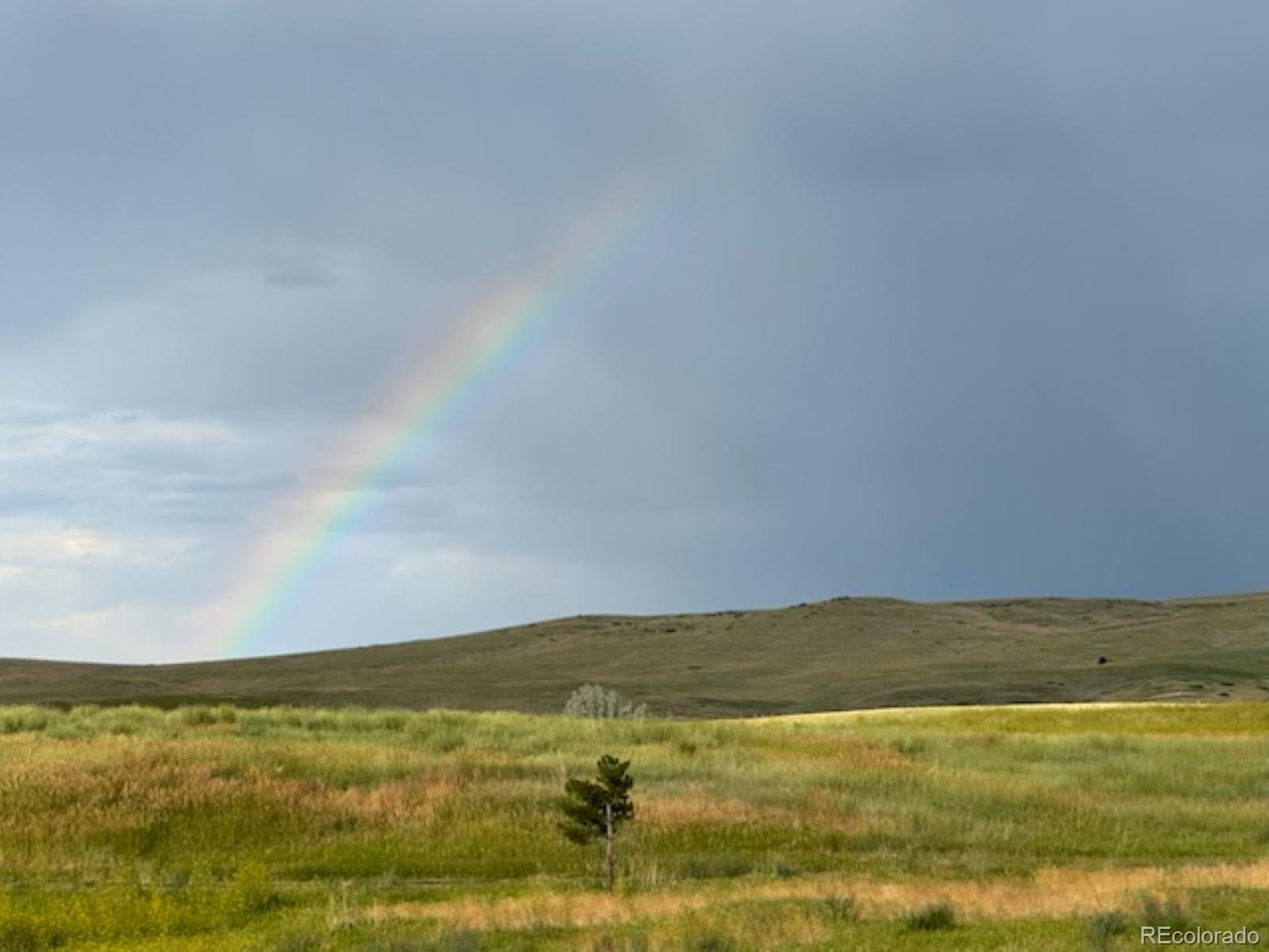 MLS Image #5 for 9568  elk mountain circle,littleton, Colorado