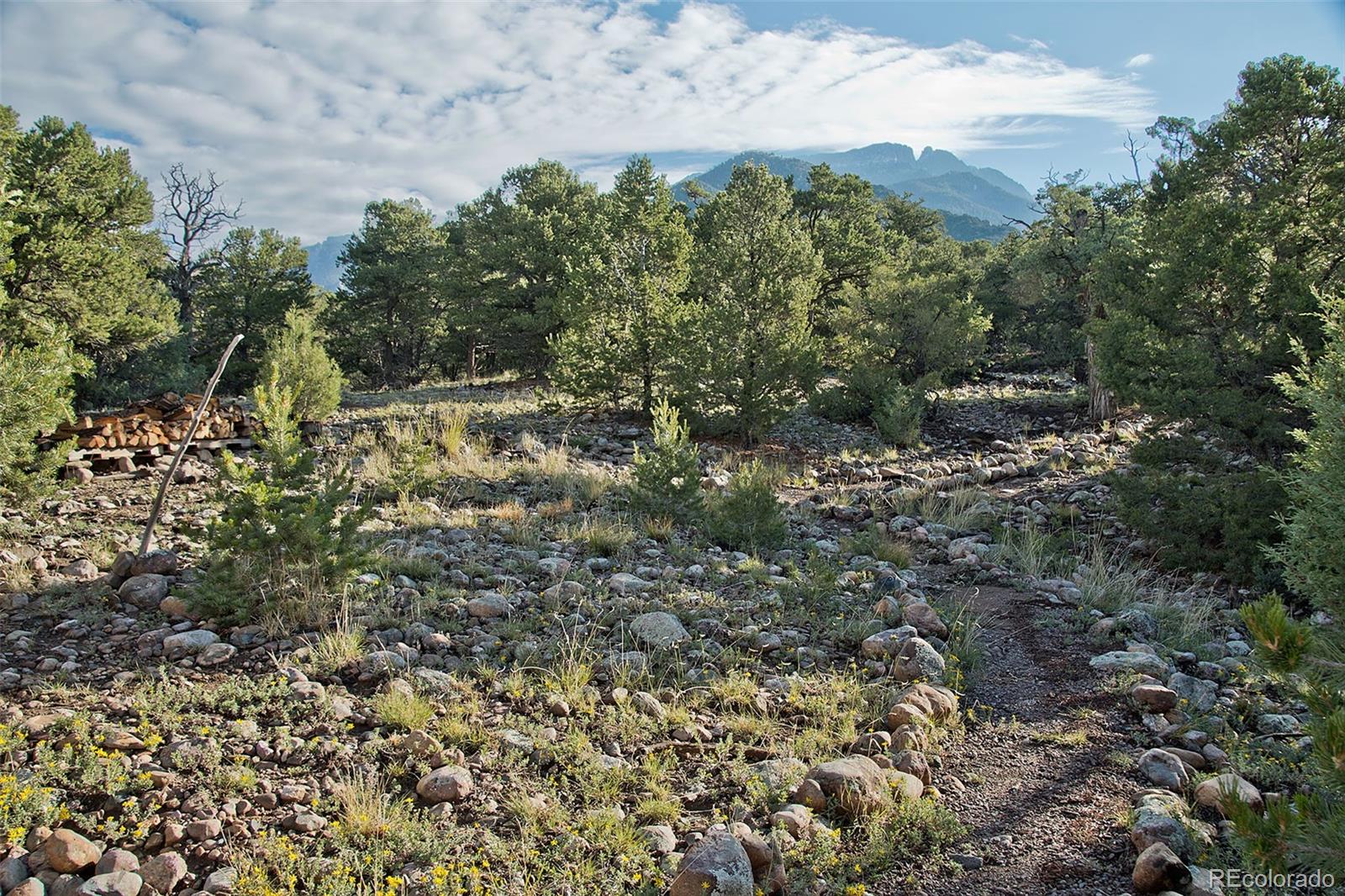 MLS Image #5 for 2819  big piney ol ,crestone, Colorado