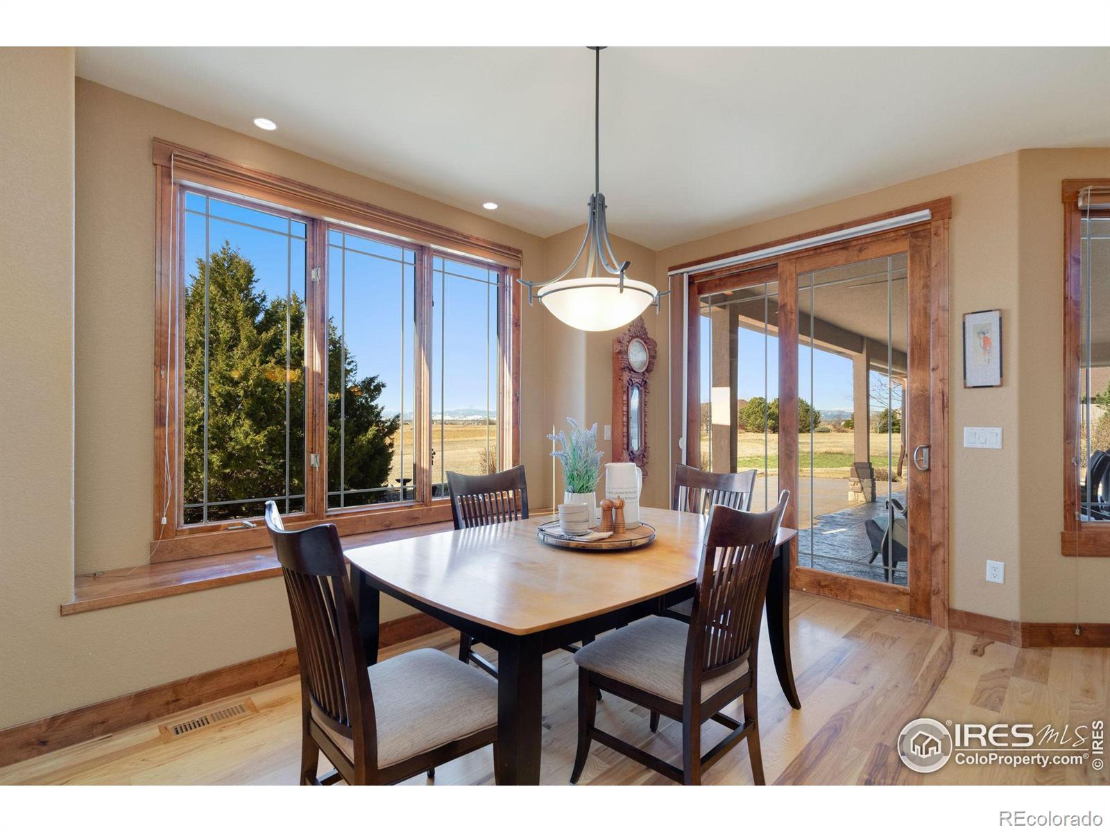 MLS Image #14 for 507  ventana way,windsor, Colorado