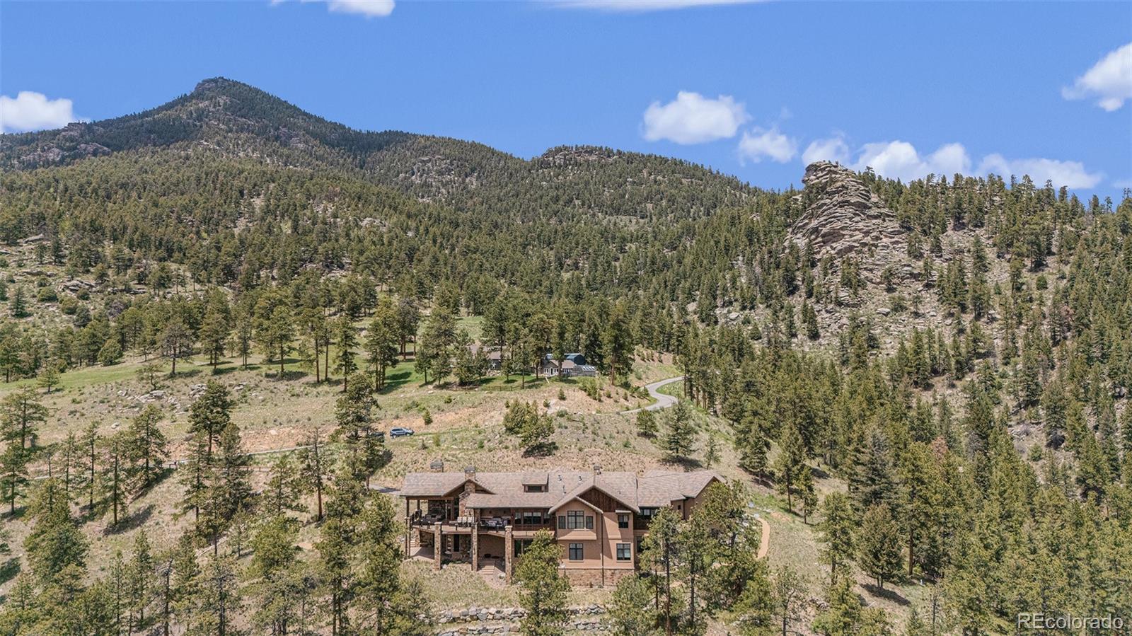 MLS Image #4 for 456  crystal ridge road,evergreen, Colorado