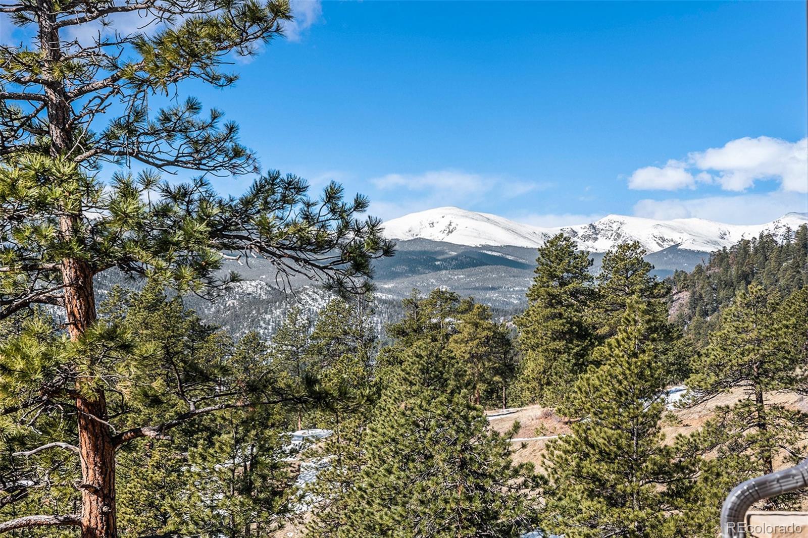 MLS Image #44 for 456  crystal ridge road,evergreen, Colorado