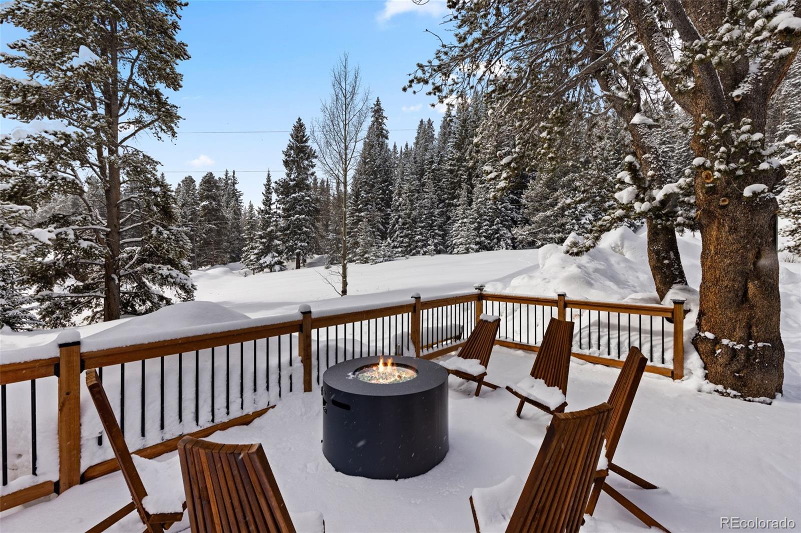 MLS Image #27 for 528  97 circle,breckenridge, Colorado