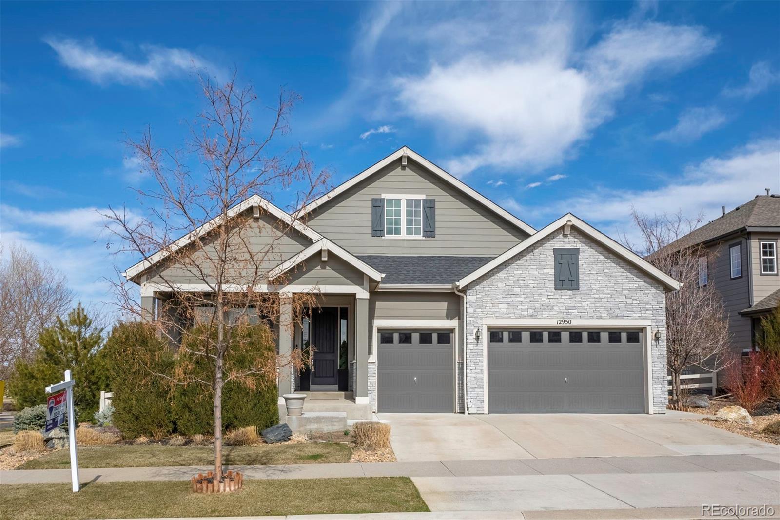 Report Image for 12950 S Cory Street,Parker, Colorado