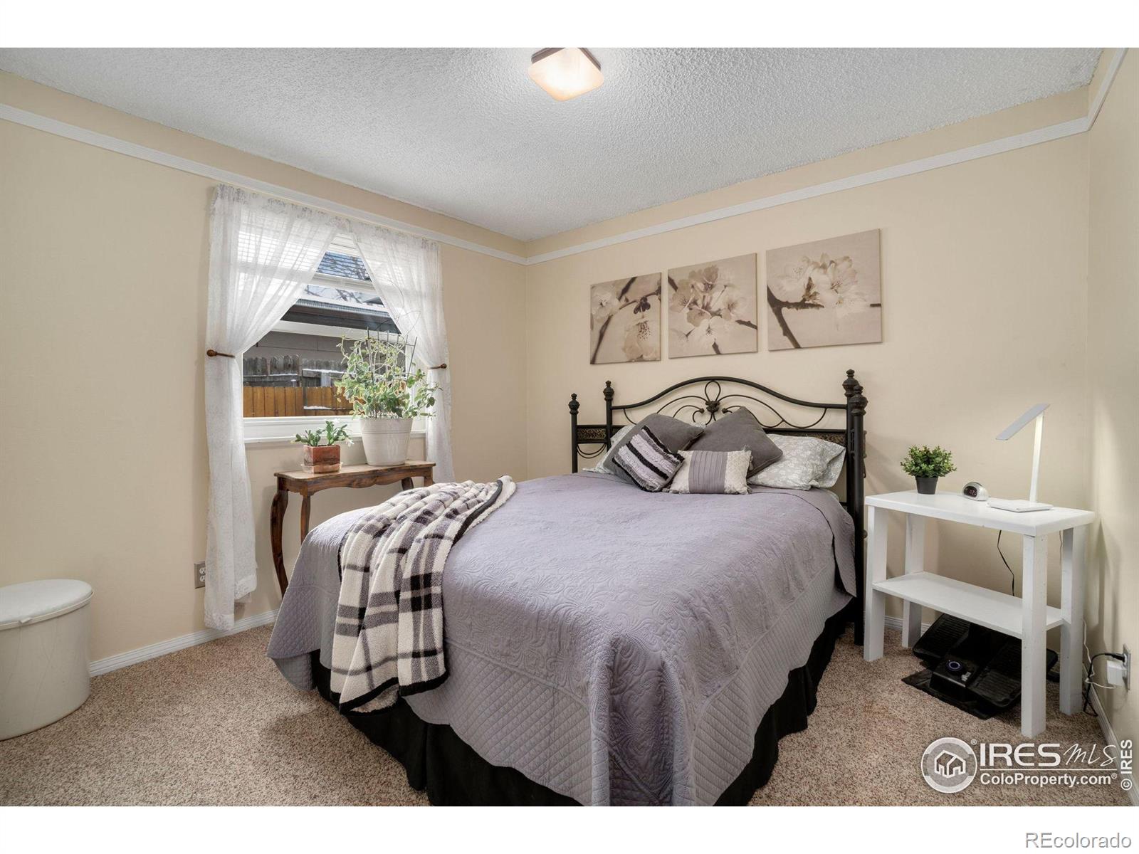 MLS Image #23 for 222  walnut drive,frederick, Colorado