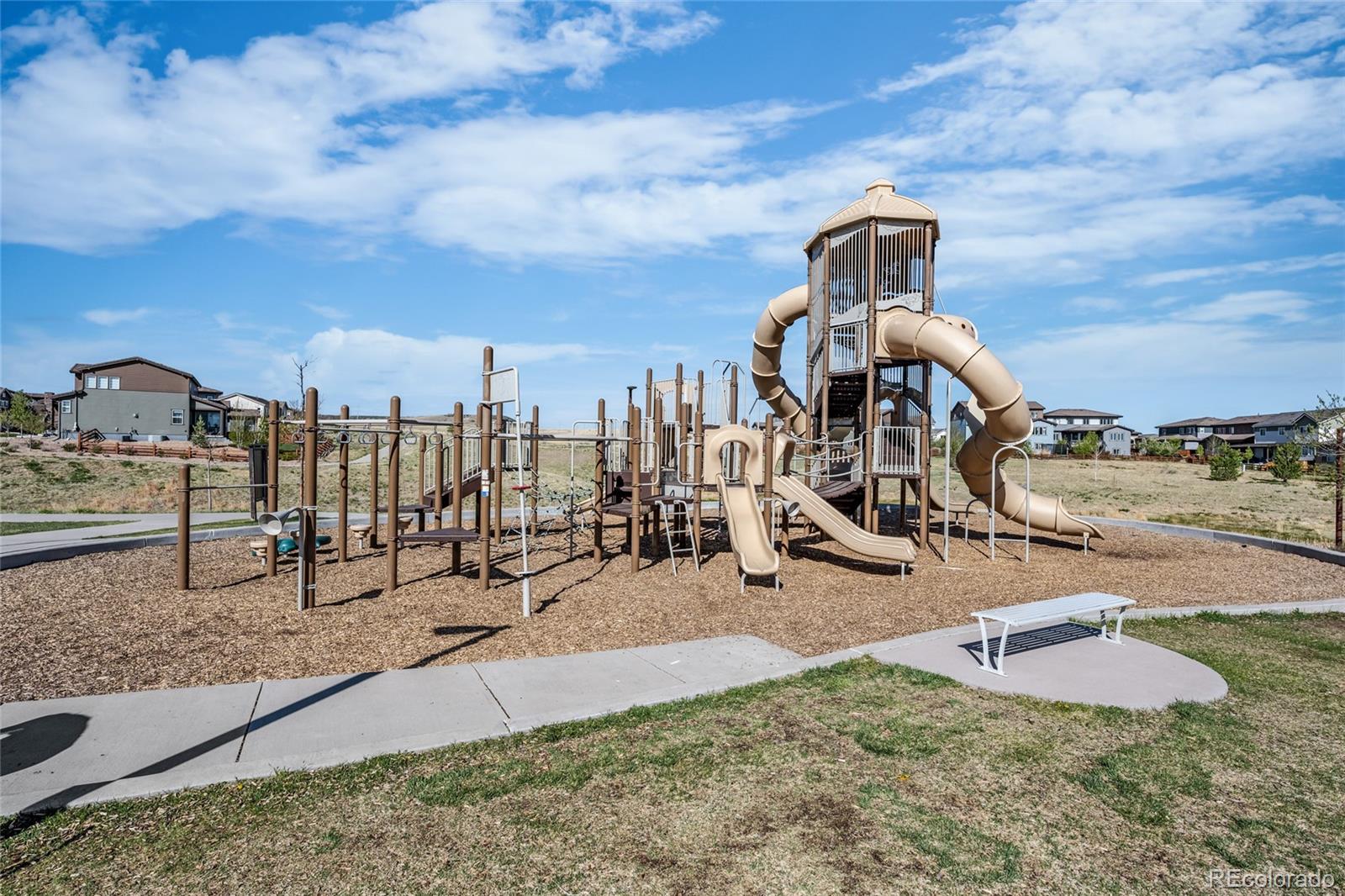 MLS Image #46 for 10895  touchstone loop,parker, Colorado
