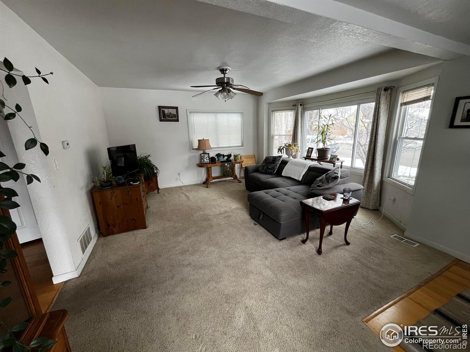 MLS Image #4 for 919  bross street,longmont, Colorado